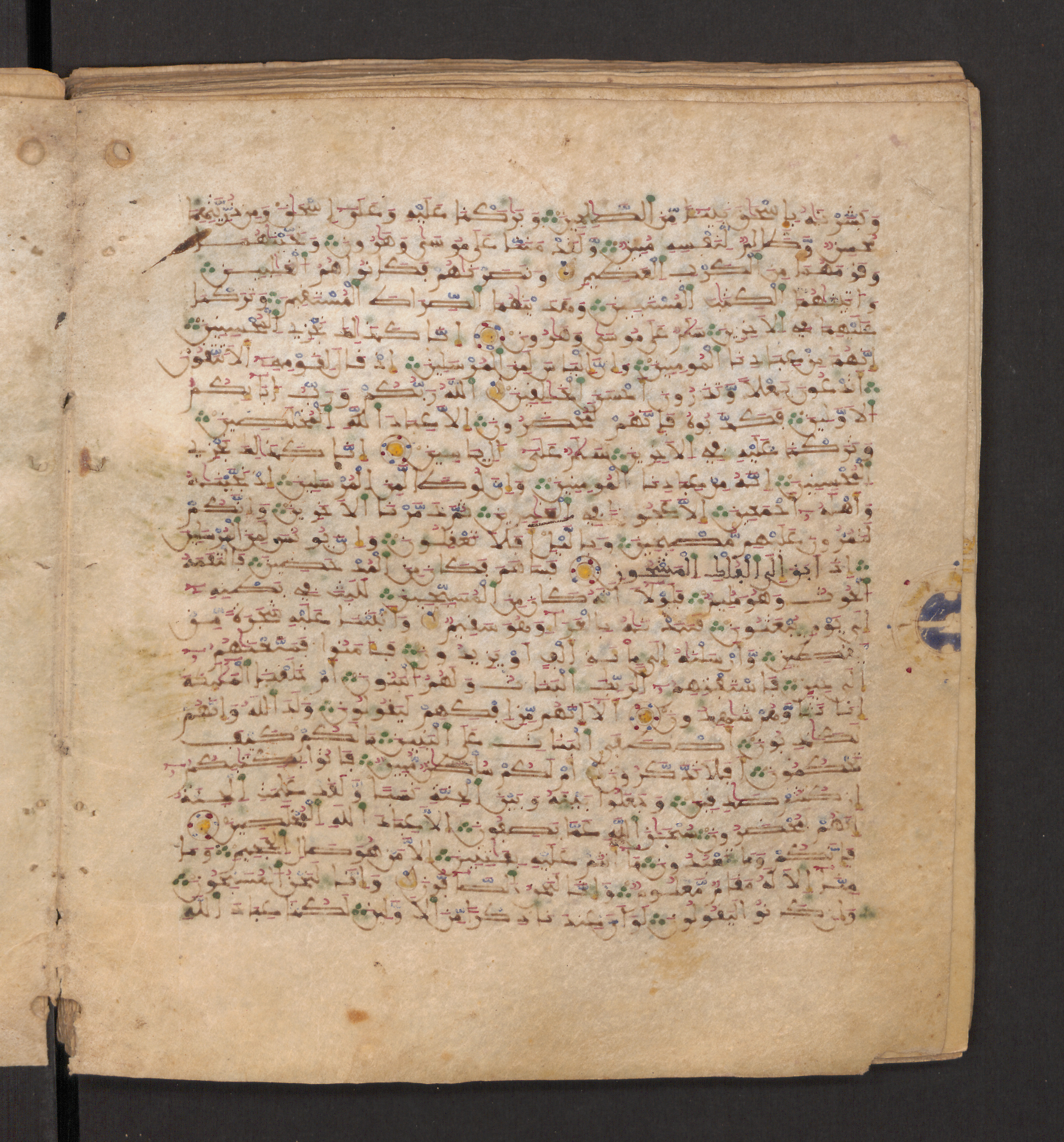 Doha, Qatar National Library, HC.MS.00715, in Maġribī micrography script, showing Surah 37:113 from 11th to 12th Century AD found in Muslim Iberia (al-Andalus), currently housed at Qatar National Library, Doha