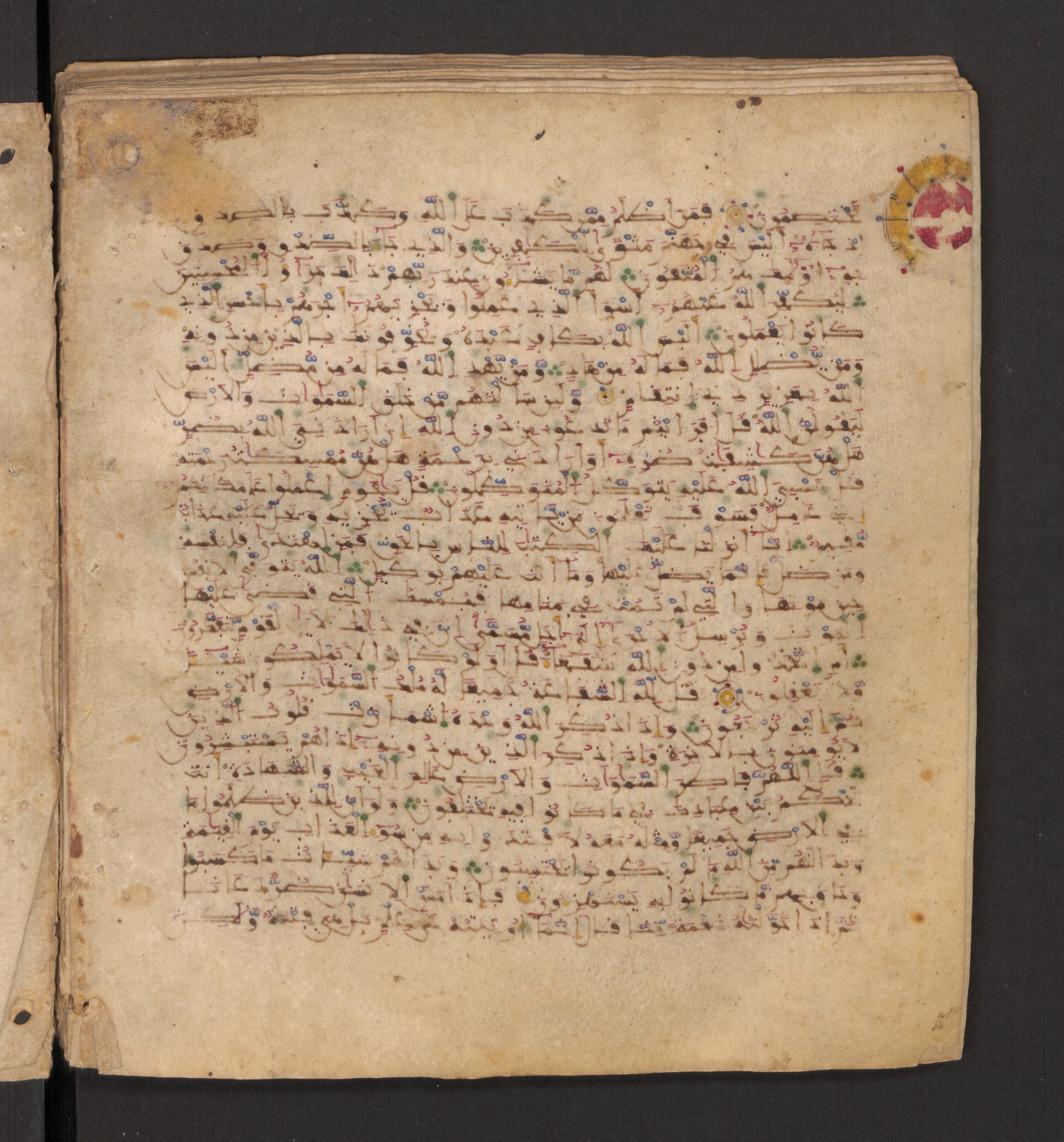Doha, Qatar National Library, HC.MS.00715 (Scan 1), in Maġribī micrography script, showing Surah 39:49 from 11th to 12th Century AD found in Muslim Iberia (al-Andalus), currently housed at Qatar National Library, Doha