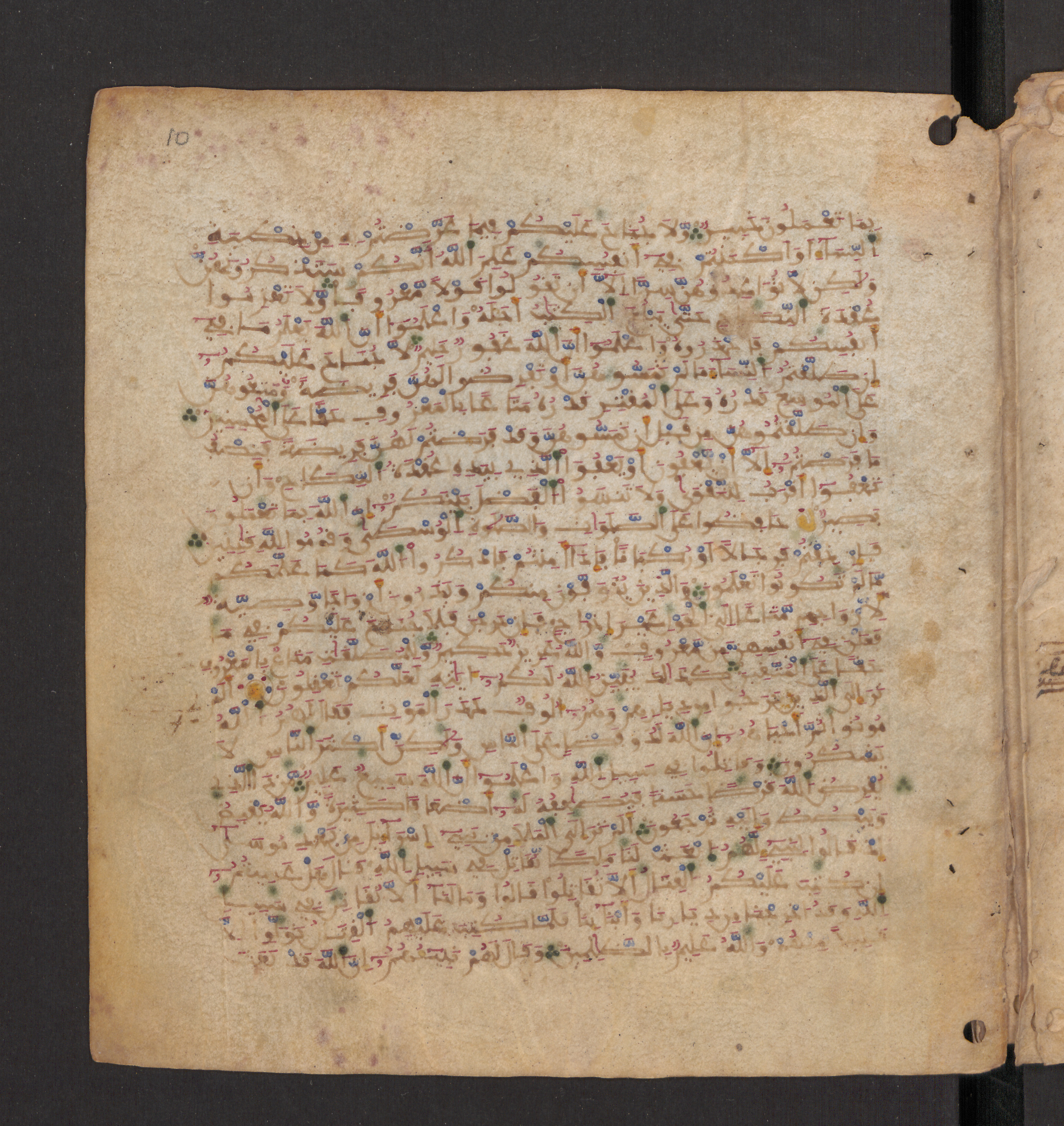 Doha, Qatar National Library, HC.MS.00715, in Maġribī micrography script, showing Surah 2:239 from 11th to 12th Century AD found in Muslim Iberia (al-Andalus), currently housed at Qatar National Library, Doha