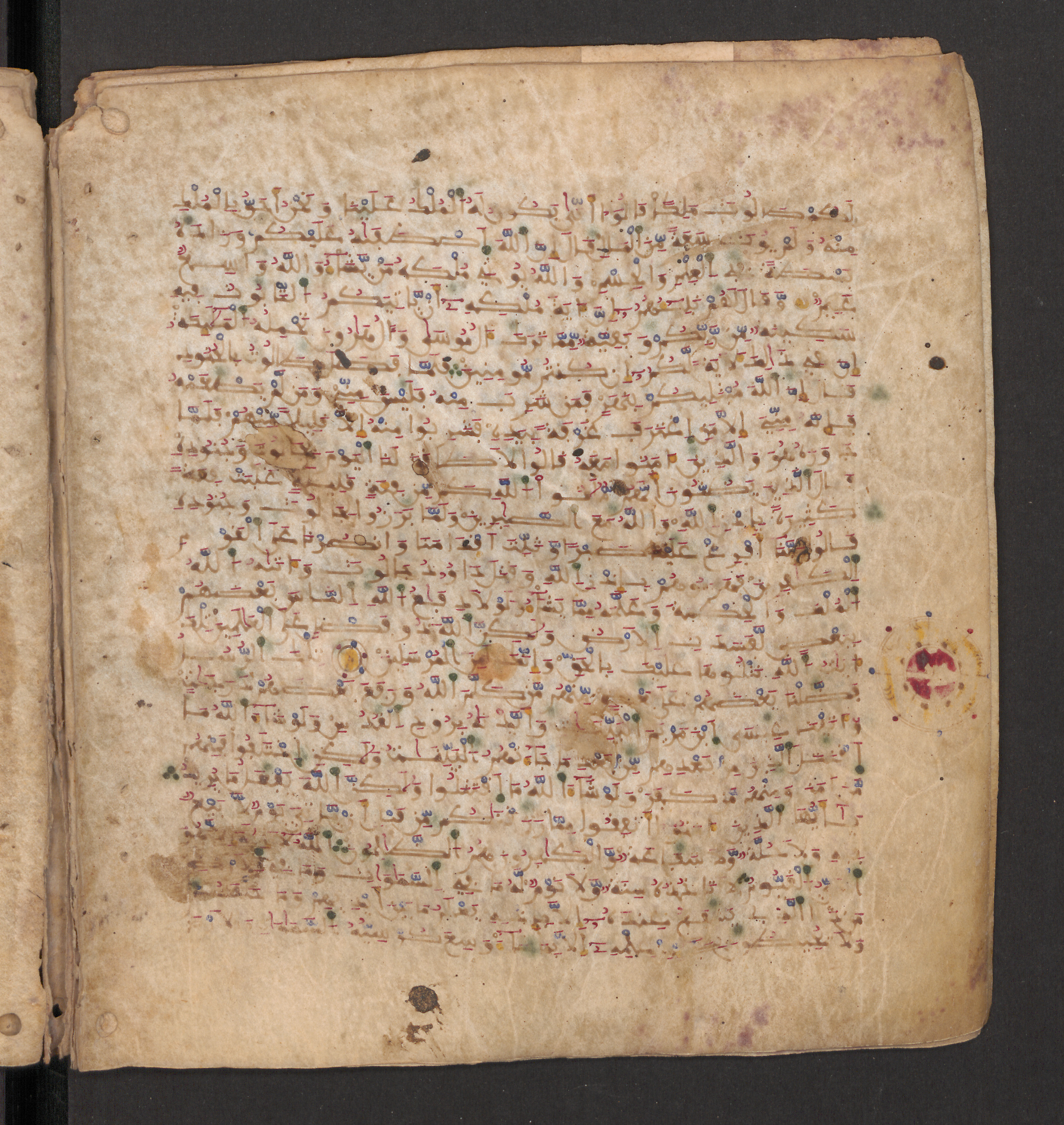 Doha, Qatar National Library, HC.MS.00715, in Maġribī micrography script, showing Surah 2:249 from 11th to 12th Century AD found in Muslim Iberia (al-Andalus), currently housed at Qatar National Library, Doha