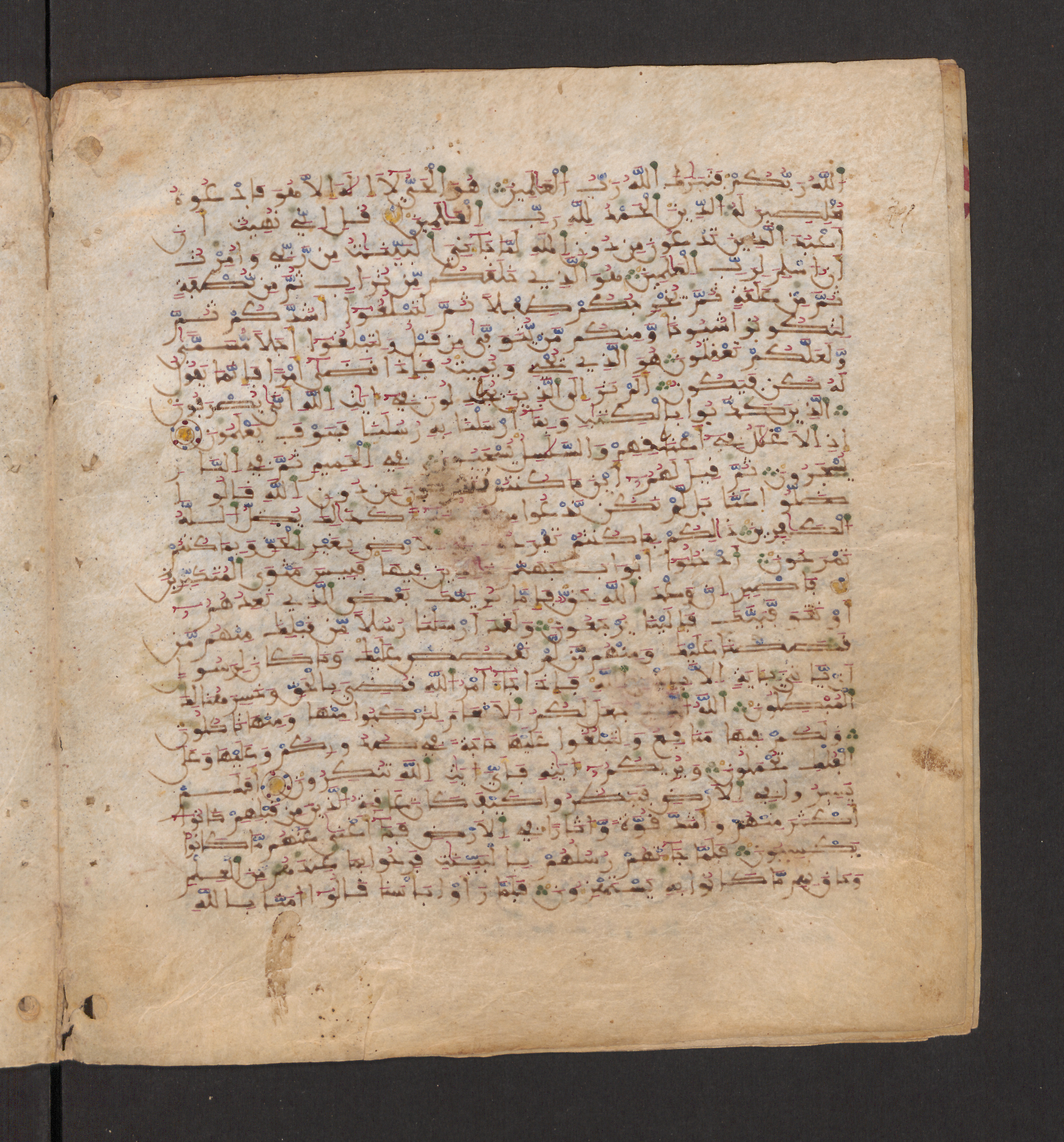 Doha, Qatar National Library, HC.MS.00715, in Maġribī micrography script, showing Surah 40:71 from 11th to 12th Century AD found in Muslim Iberia (al-Andalus), currently housed at Qatar National Library, Doha