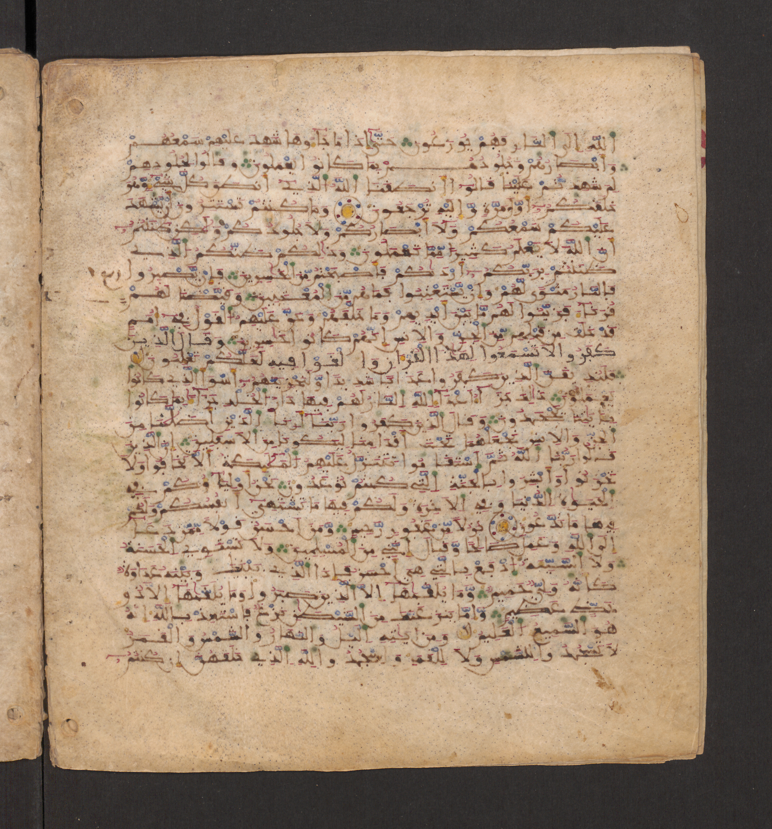 Doha, Qatar National Library, HC.MS.00715, in Maġribī micrography script, showing Surah 41:21 from 11th to 12th Century AD found in Muslim Iberia (al-Andalus), currently housed at Qatar National Library, Doha