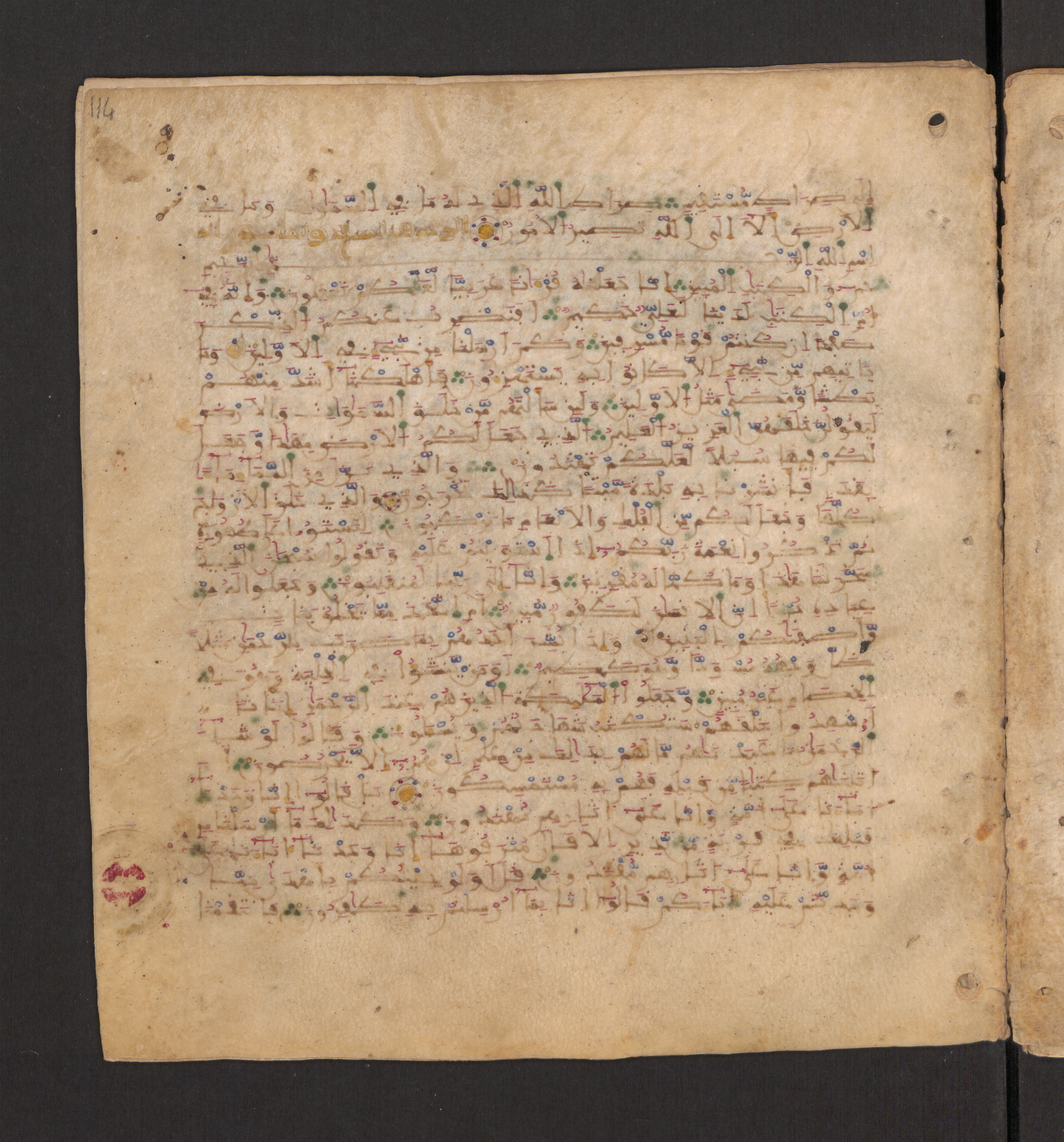 Doha, Qatar National Library, HC.MS.00715, in Maġribī micrography script, showing Surah 43:21 from 11th to 12th Century AD found in Muslim Iberia (al-Andalus), currently housed at Qatar National Library, Doha