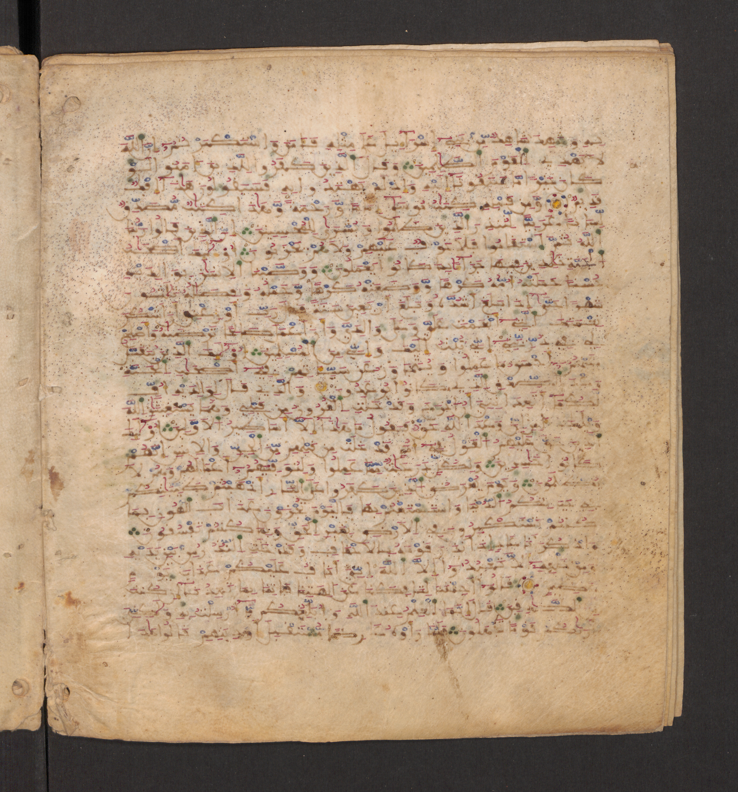 Doha, Qatar National Library, HC.MS.00715, in Maġribī micrography script, showing Surah 46:13 from 11th to 12th Century AD found in Muslim Iberia (al-Andalus), currently housed at Qatar National Library, Doha