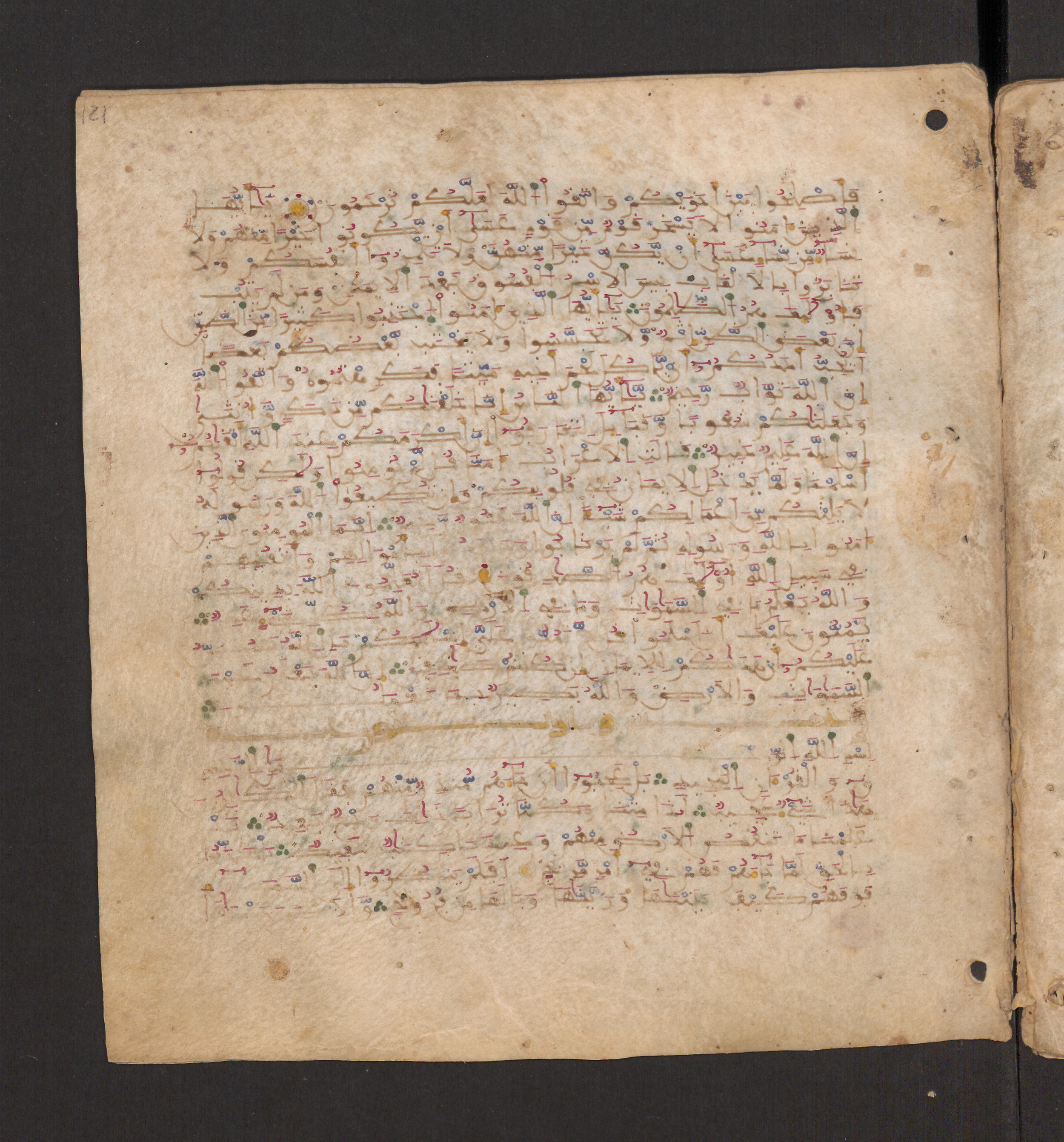 Doha, Qatar National Library, HC.MS.00715 (Scan 2), in Maġribī micrography script, showing Surah 49:10 from 11th to 12th Century AD found in Muslim Iberia (al-Andalus), currently housed at Qatar National Library, Doha