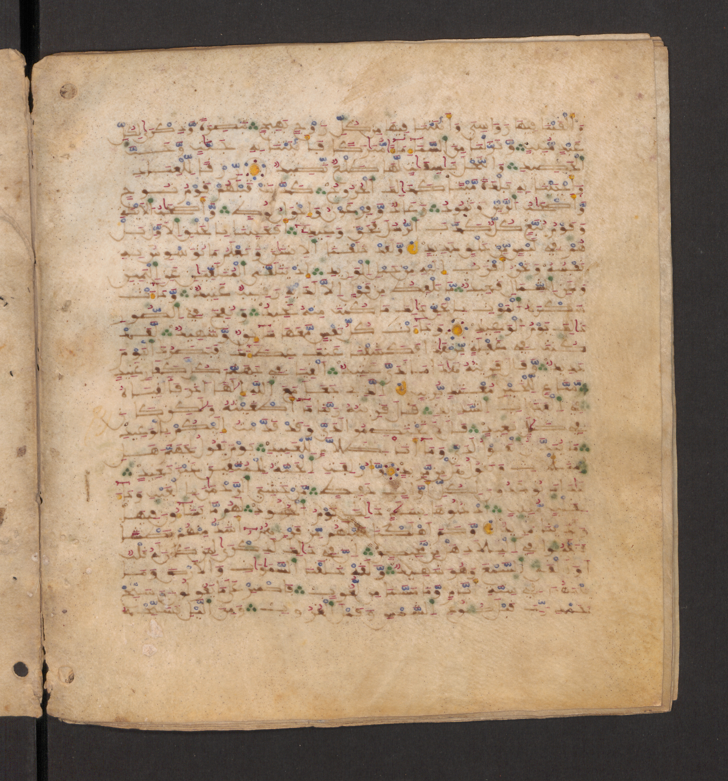 Doha, Qatar National Library, HC.MS.00715, in Maġribī micrography script, showing Surah 50:21 from 11th to 12th Century AD found in Muslim Iberia (al-Andalus), currently housed at Qatar National Library, Doha