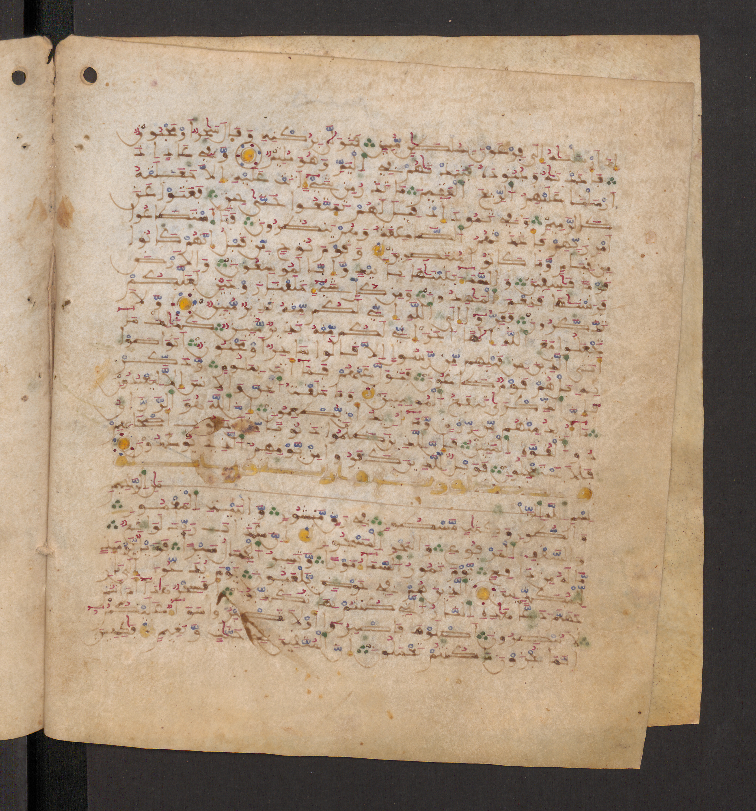 Doha, Qatar National Library, HC.MS.00715, in Maġribī micrography script, showing Surah 52:13 from 11th to 12th Century AD found in Muslim Iberia (al-Andalus), currently housed at Qatar National Library, Doha