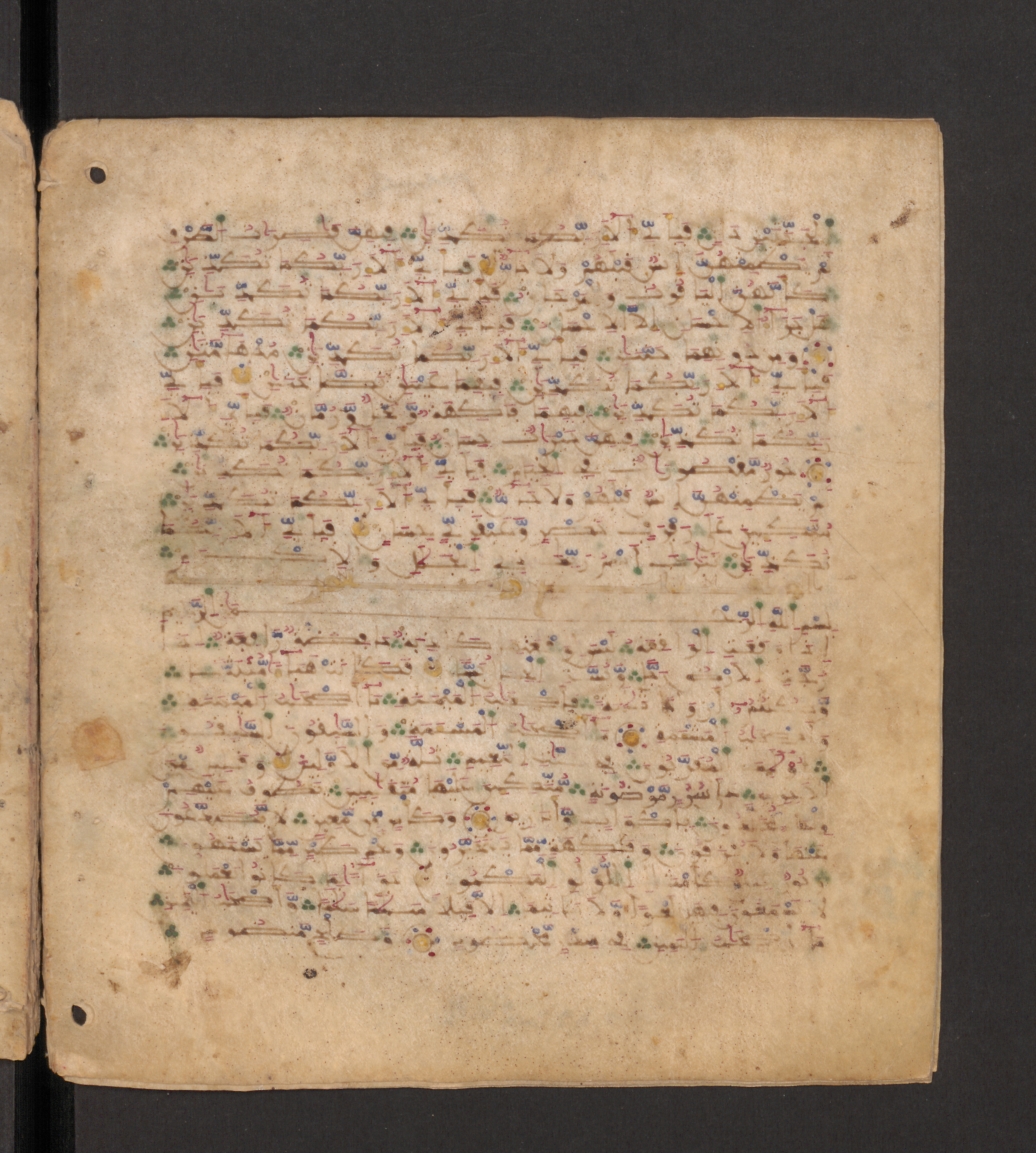 Doha, Qatar National Library, HC.MS.00715, in Maġribī micrography script, showing Surah 56:21 from 11th to 12th Century AD found in Muslim Iberia (al-Andalus), currently housed at Qatar National Library, Doha