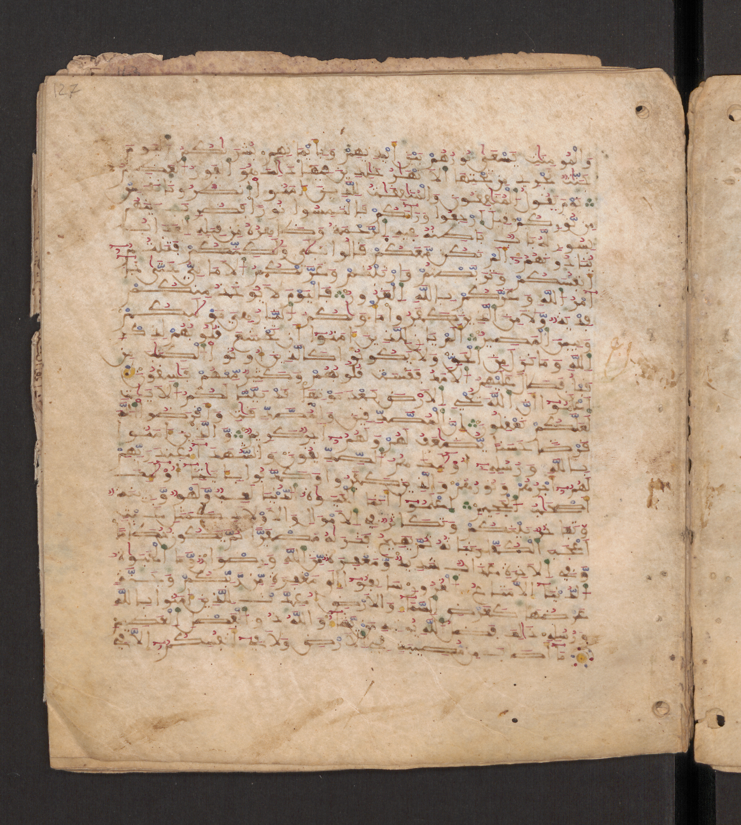 Doha, Qatar National Library, HC.MS.00715, in Maġribī micrography script, showing Surah 57:21 from 11th to 12th Century AD found in Muslim Iberia (al-Andalus), currently housed at Qatar National Library, Doha