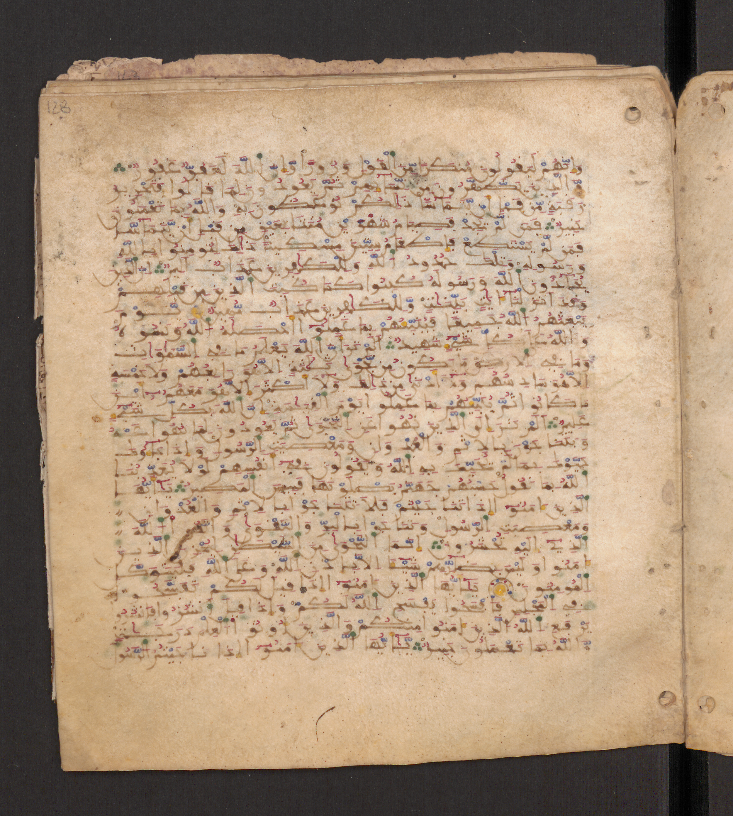 Doha, Qatar National Library, HC.MS.00715 (Scan 2), in Maġribī micrography script, showing Surah 58:2 from 11th to 12th Century AD found in Muslim Iberia (al-Andalus), currently housed at Qatar National Library, Doha