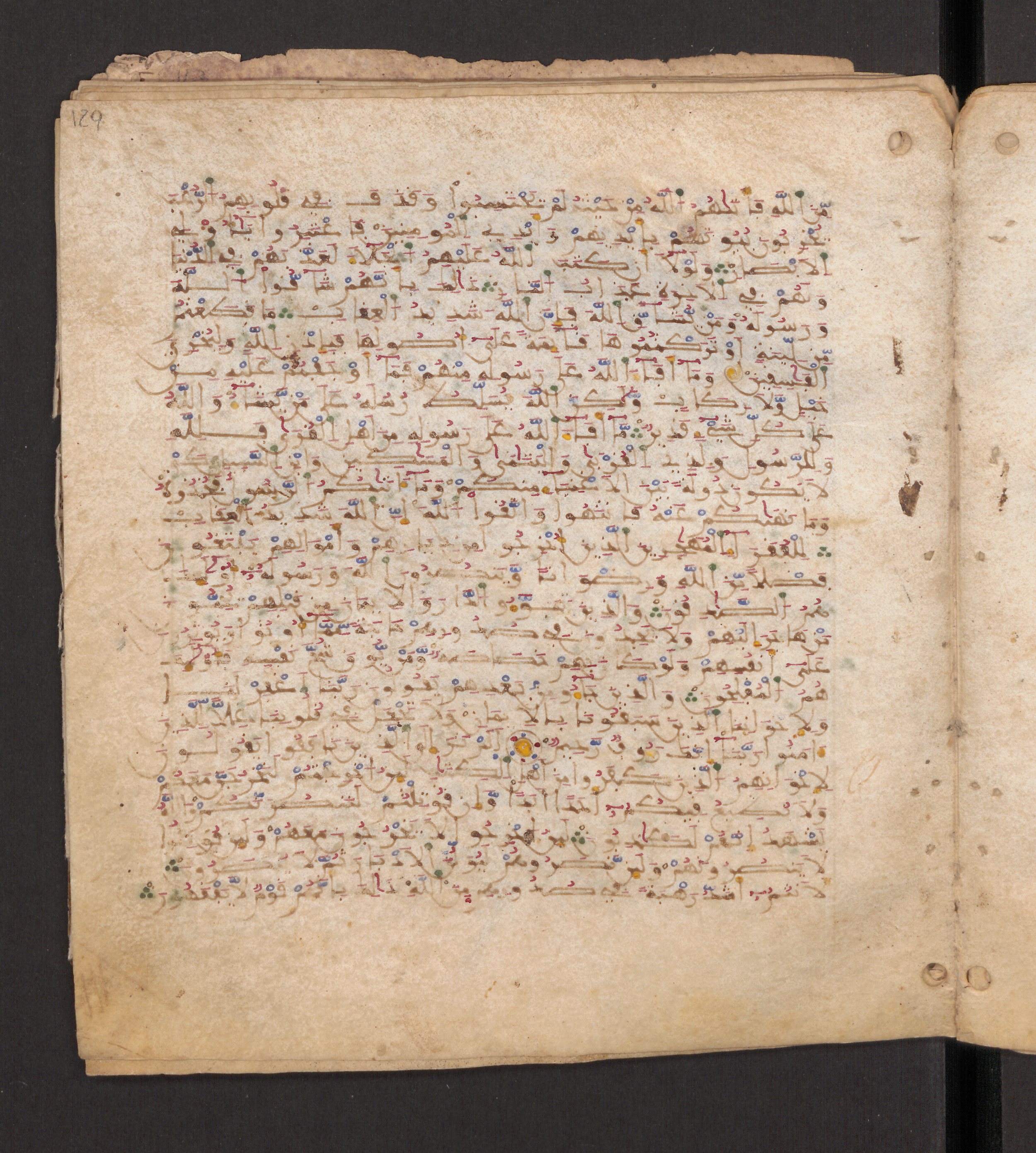 Doha, Qatar National Library, HC.MS.00715, in Maġribī micrography script, showing Surah 59:13 from 11th to 12th Century AD found in Muslim Iberia (al-Andalus), currently housed at Qatar National Library, Doha