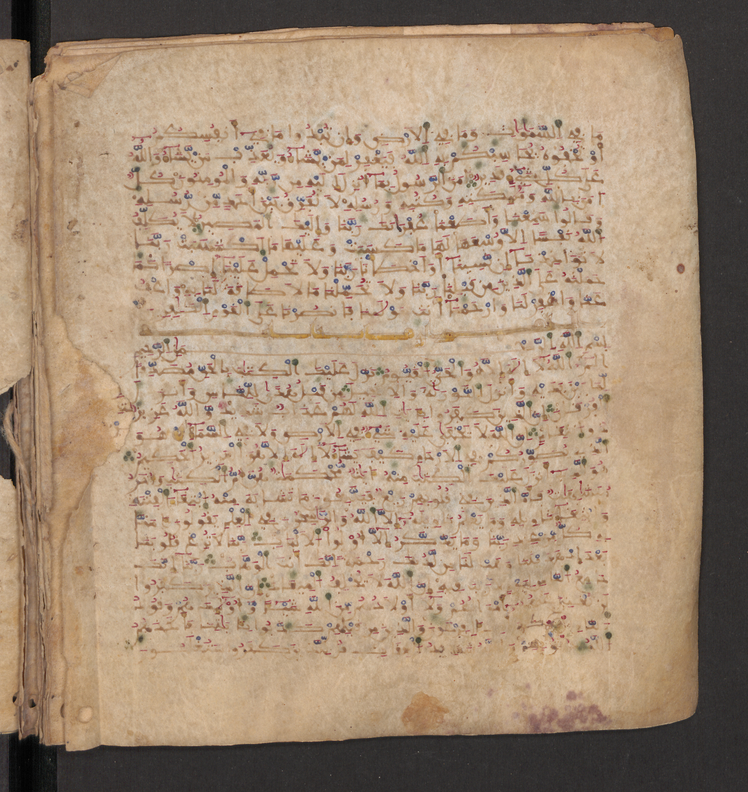 Doha, Qatar National Library, HC.MS.00715, in Maġribī micrography script, showing Surah 3:7 from 11th to 12th Century AD found in Muslim Iberia (al-Andalus), currently housed at Qatar National Library, Doha