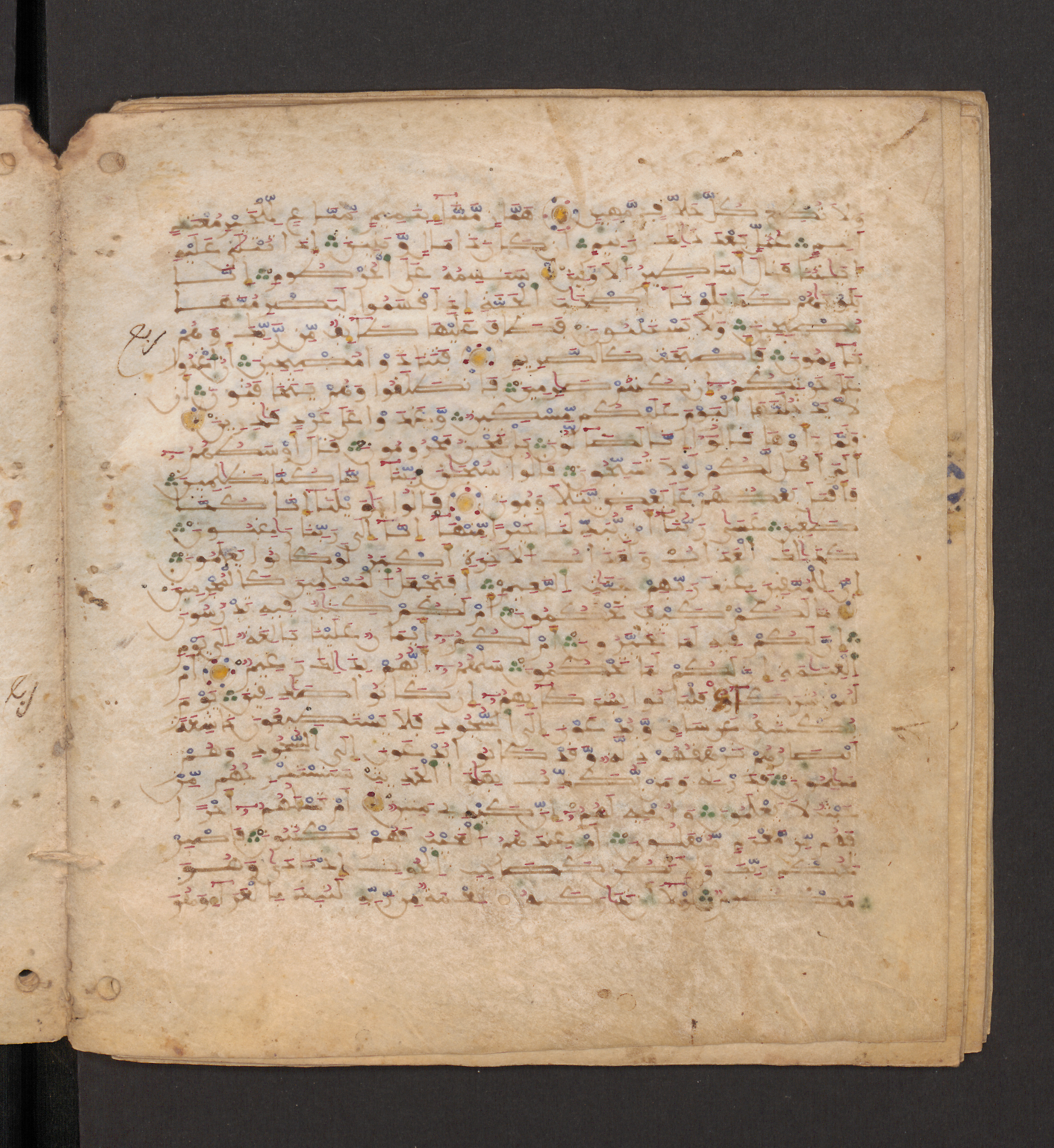 Doha, Qatar National Library, HC.MS.00715, in Maġribī micrography script, showing Surah 68:13 from 11th to 12th Century AD found in Muslim Iberia (al-Andalus), currently housed at Qatar National Library, Doha