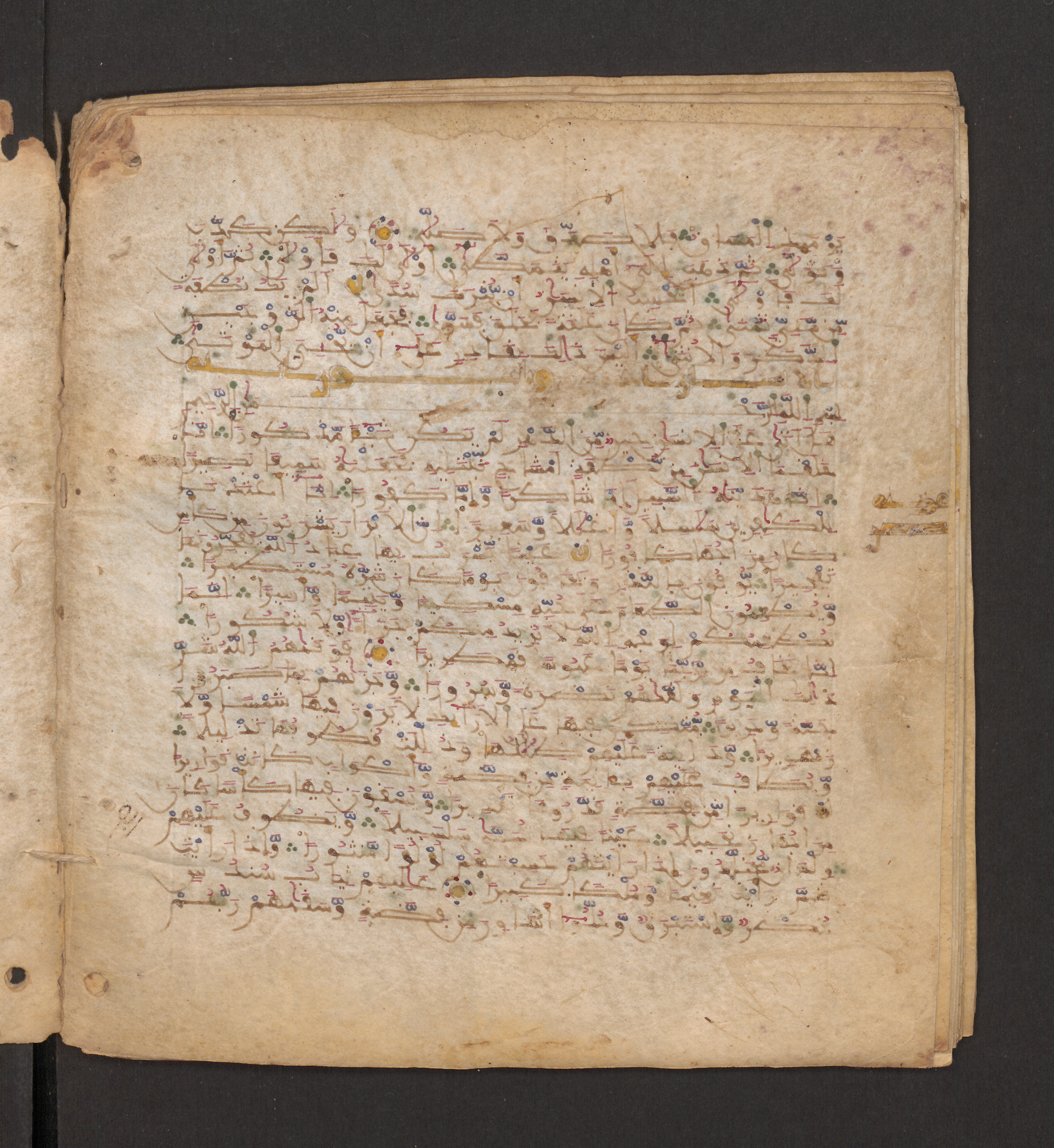 Doha, Qatar National Library, HC.MS.00715 (Scan 1), in Maġribī micrography script, showing Surah 76:21 from 11th to 12th Century AD found in Muslim Iberia (al-Andalus), currently housed at Qatar National Library, Doha