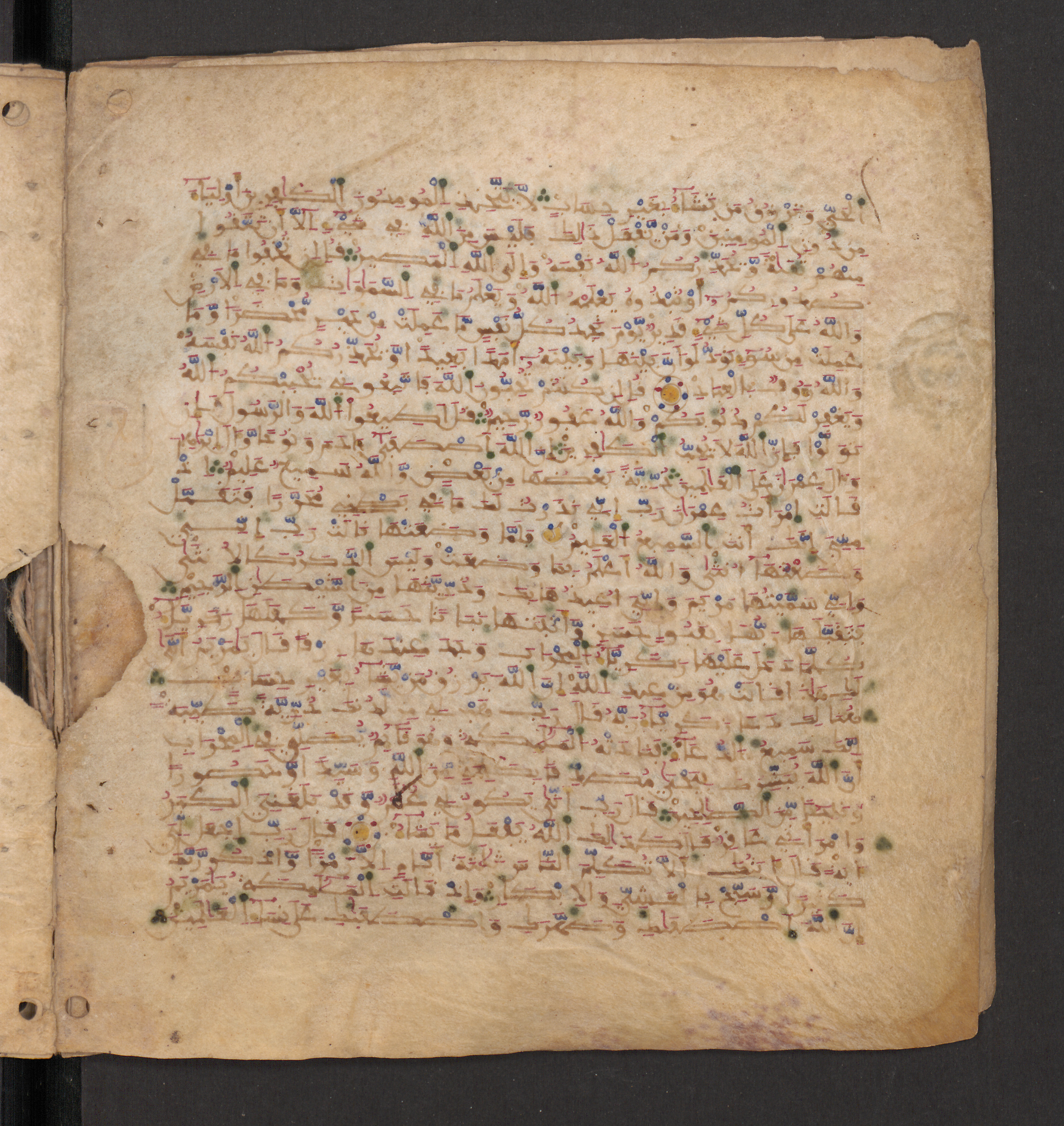 Doha, Qatar National Library, HC.MS.00715, in Maġribī micrography script, showing Surah 3:39 from 11th to 12th Century AD found in Muslim Iberia (al-Andalus), currently housed at Qatar National Library, Doha