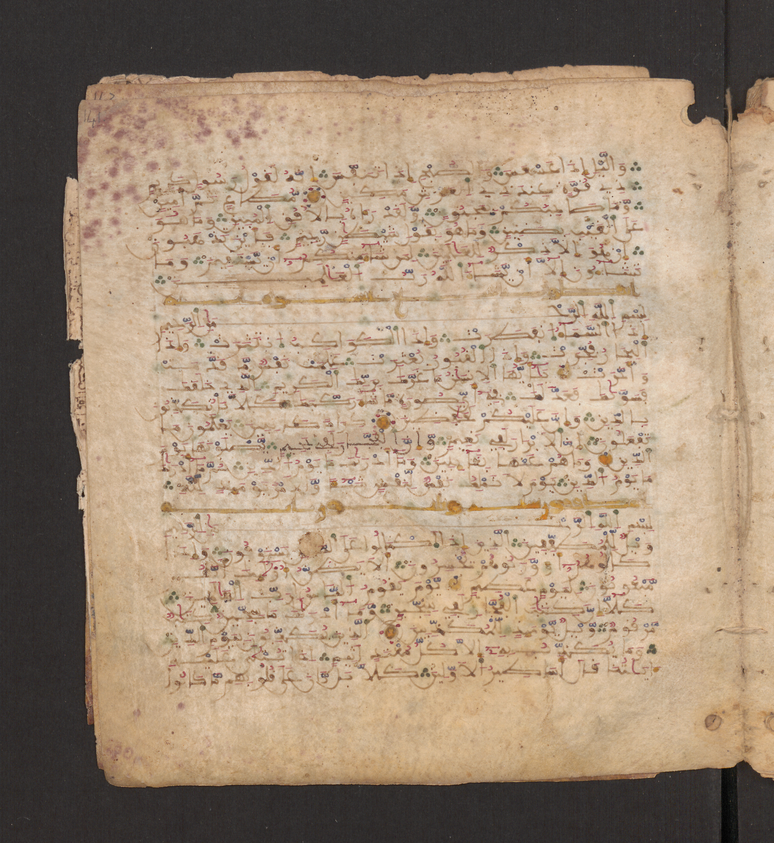Doha, Qatar National Library, HC.MS.00715, in Maġribī micrography script, showing Surah 83:13 from 11th to 12th Century AD found in Muslim Iberia (al-Andalus), currently housed at Qatar National Library, Doha