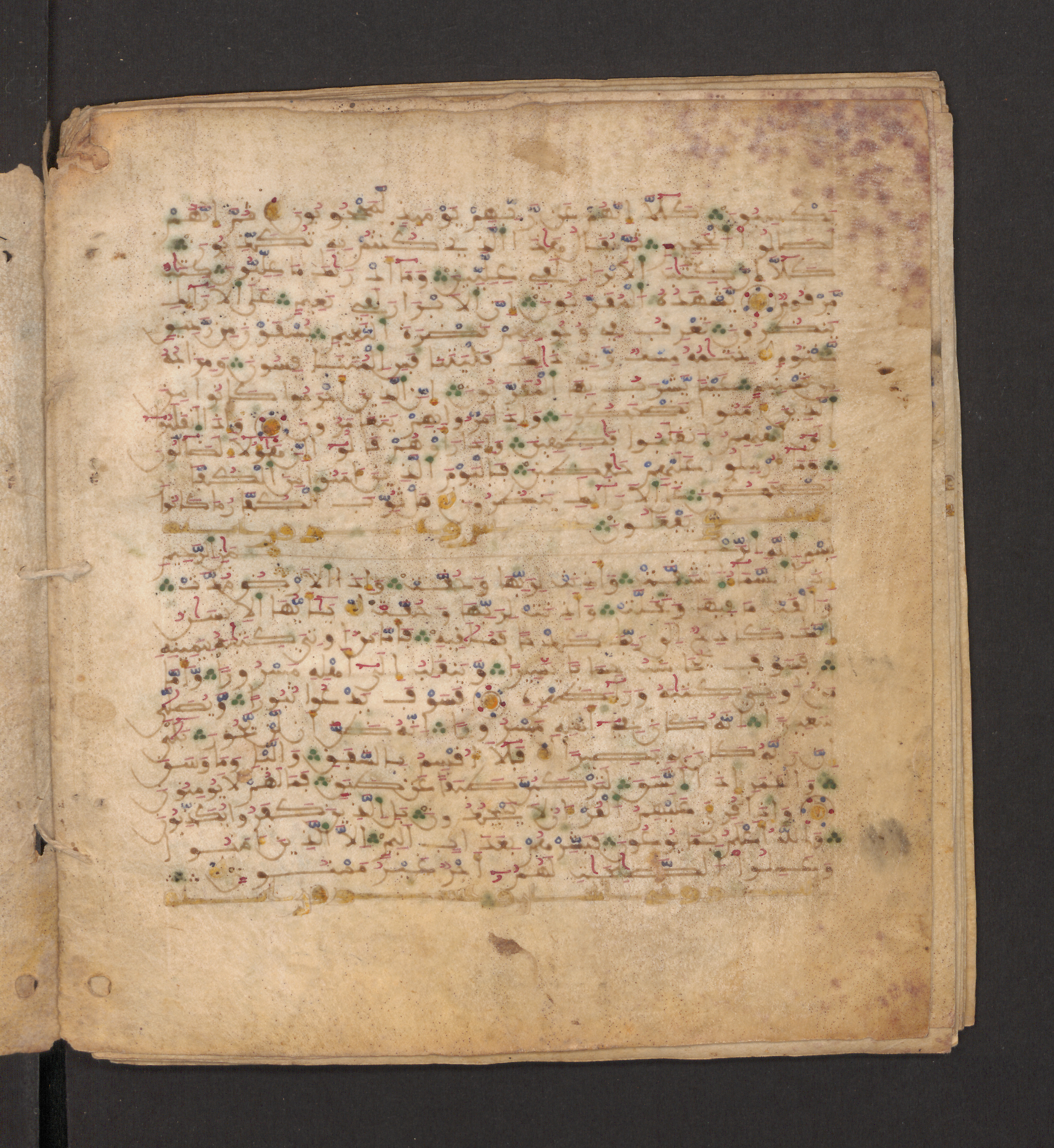 Doha, Qatar National Library, HC.MS.00715, in Maġribī micrography script, showing Surah 83:21 from 11th to 12th Century AD found in Muslim Iberia (al-Andalus), currently housed at Qatar National Library, Doha