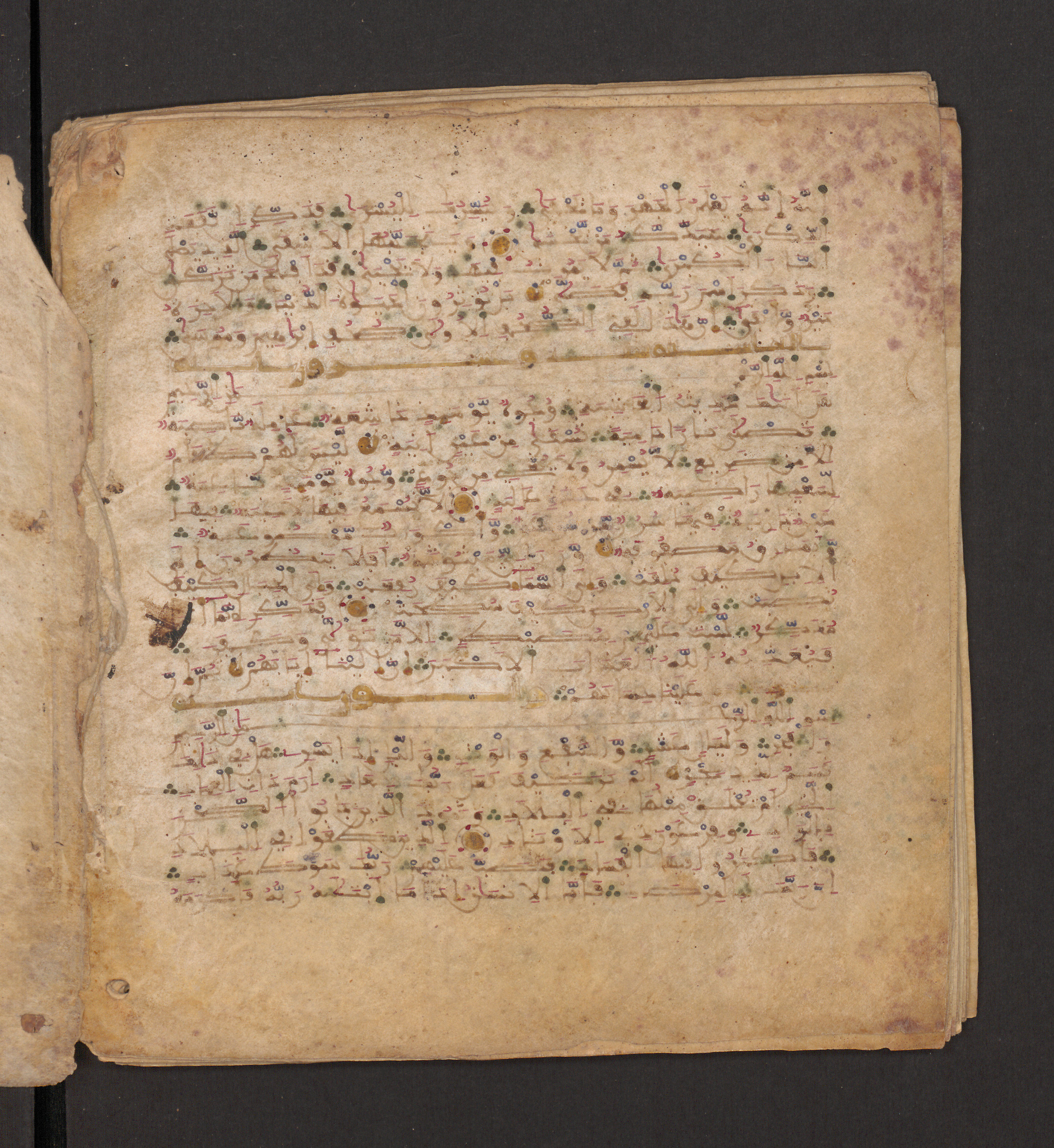 Doha, Qatar National Library, HC.MS.00715, in Maġribī micrography script, showing Surah 88:21 from 11th to 12th Century AD found in Muslim Iberia (al-Andalus), currently housed at Qatar National Library, Doha