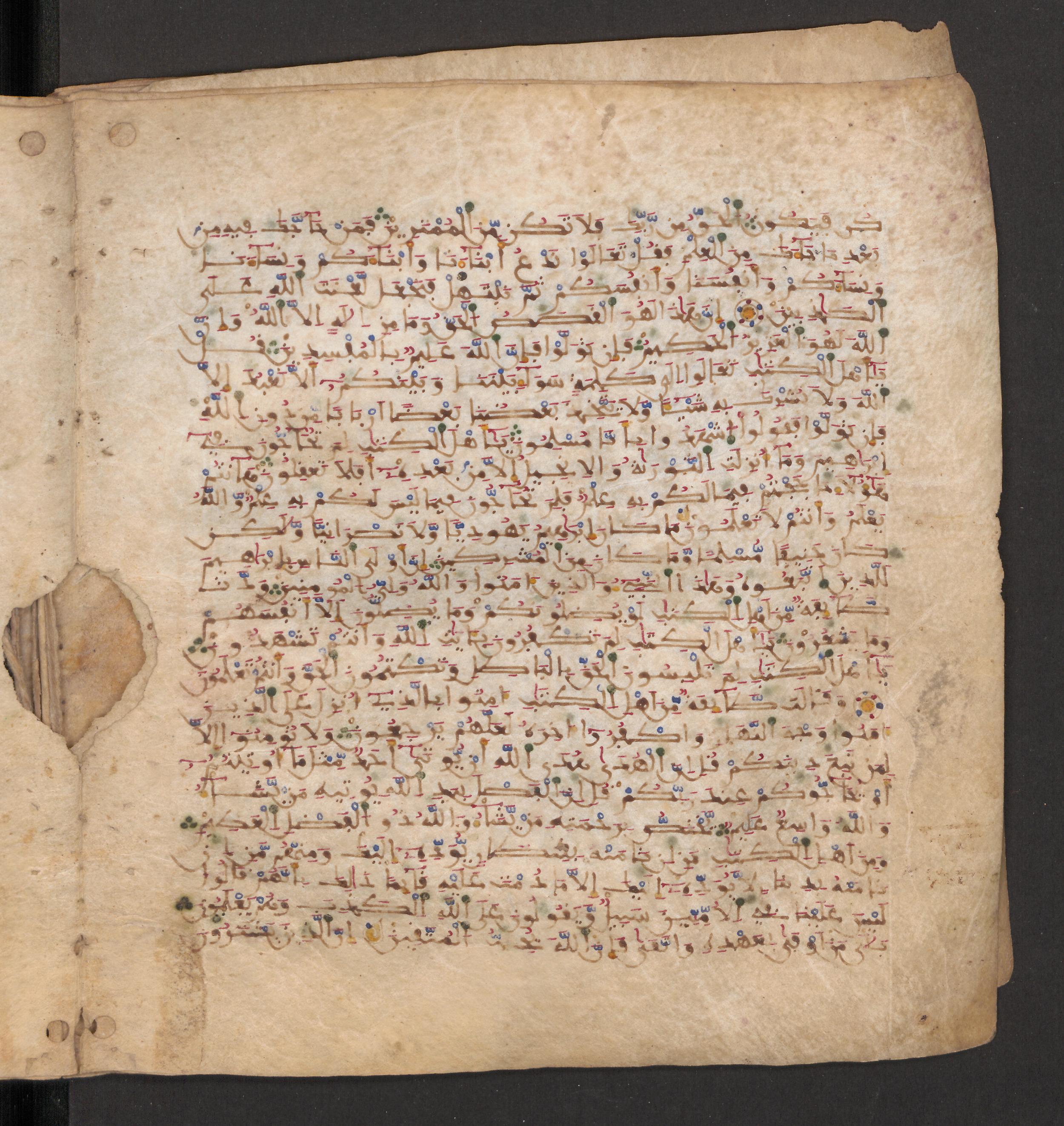 Doha, Qatar National Library, HC.MS.00715, in Maġribī micrography script, showing Surah 3:71 from 11th to 12th Century AD found in Muslim Iberia (al-Andalus), currently housed at Qatar National Library, Doha