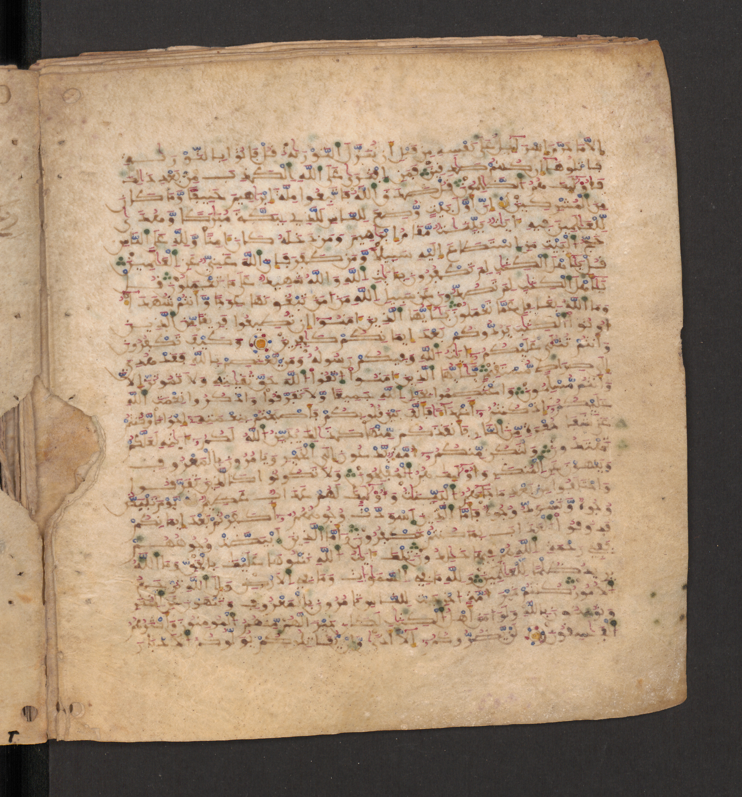 Doha, Qatar National Library, HC.MS.00715, in Maġribī micrography script, showing Surah 3:97 from 11th to 12th Century AD found in Muslim Iberia (al-Andalus), currently housed at Qatar National Library, Doha