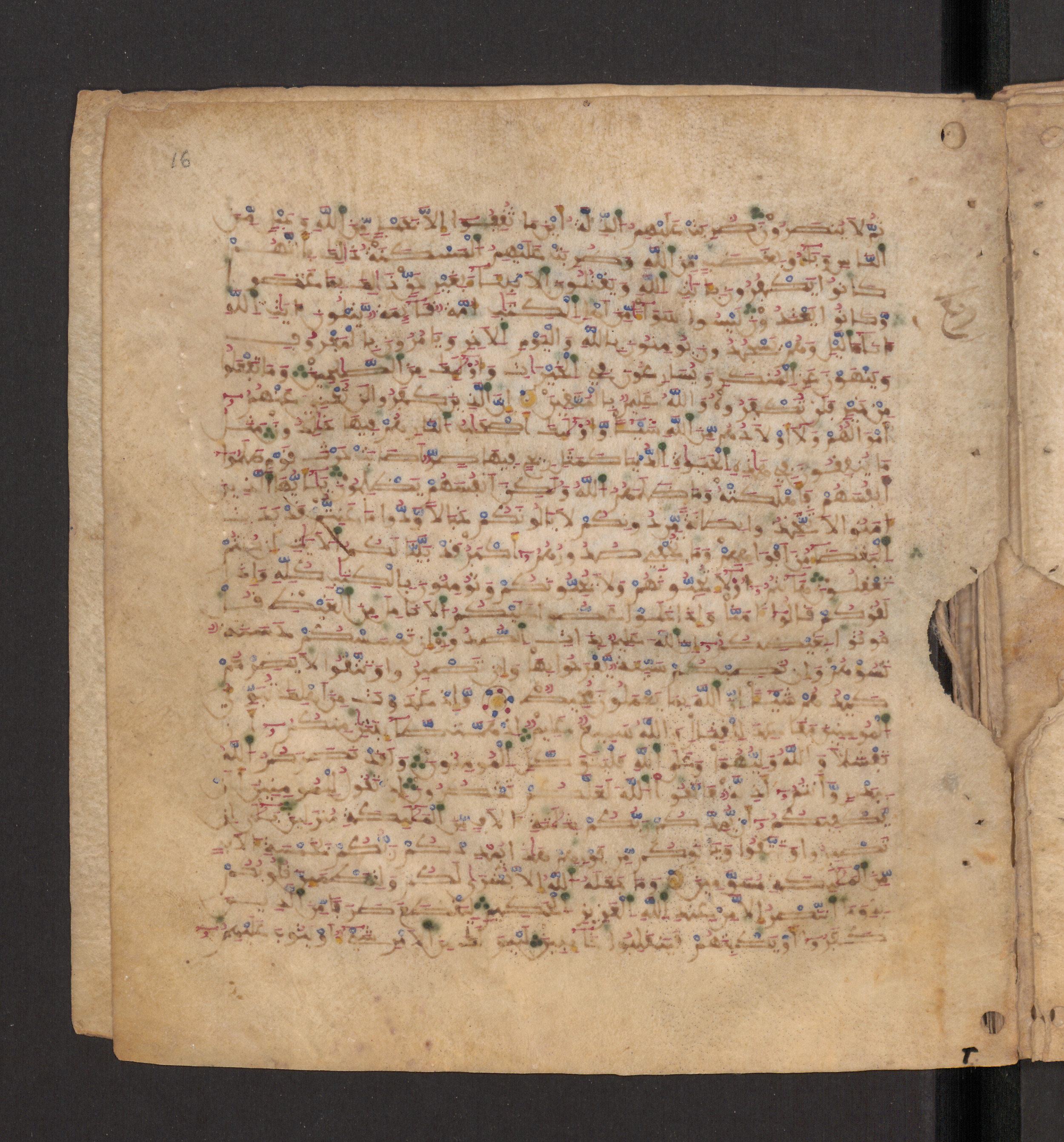 Doha, Qatar National Library, HC.MS.00715, in Maġribī micrography script, showing Surah 3:116 from 11th to 12th Century AD found in Muslim Iberia (al-Andalus), currently housed at Qatar National Library, Doha