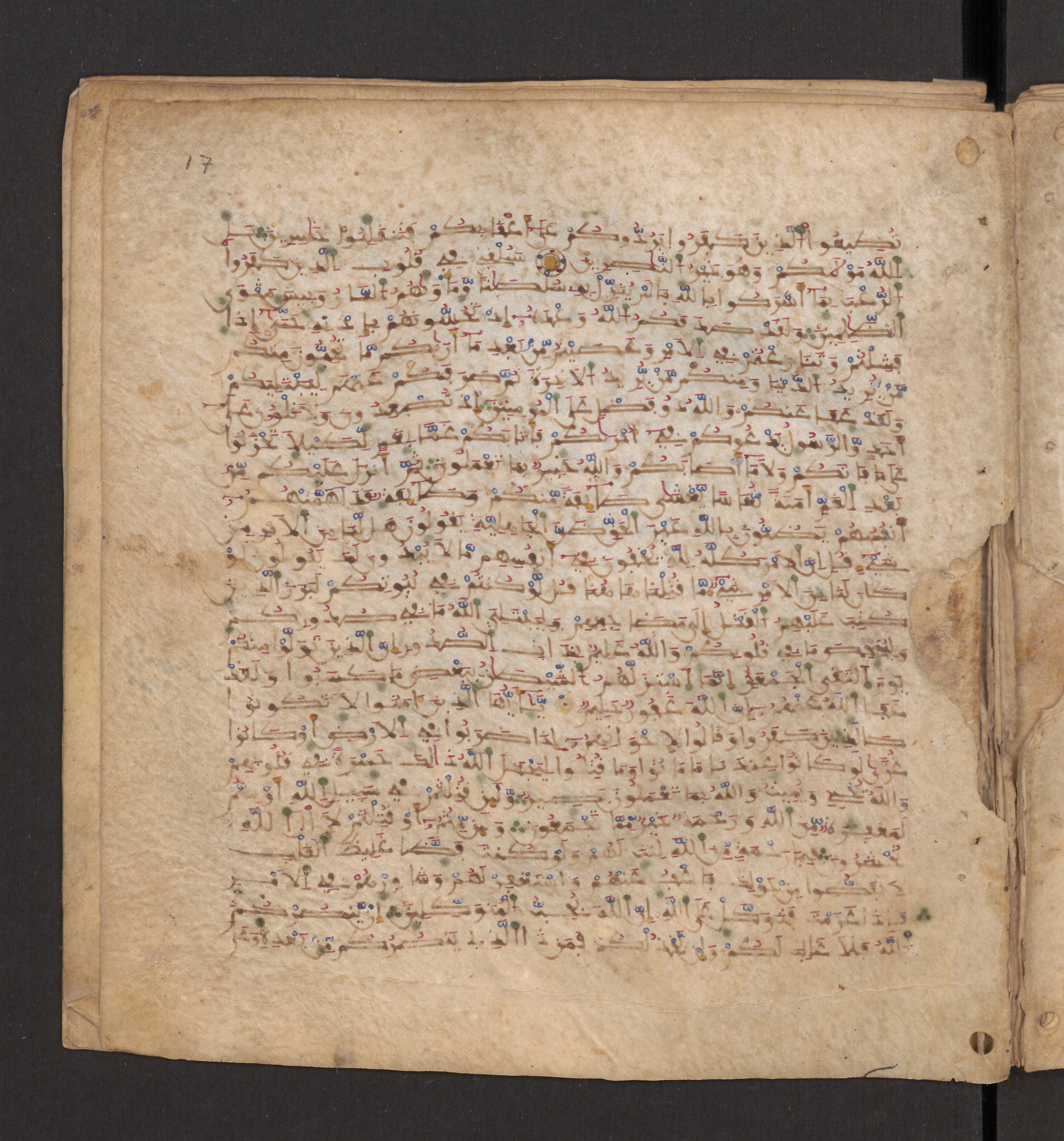 Doha, Qatar National Library, HC.MS.00715, in Maġribī micrography script, showing Surah 3:152 from 11th to 12th Century AD found in Muslim Iberia (al-Andalus), currently housed at Qatar National Library, Doha
