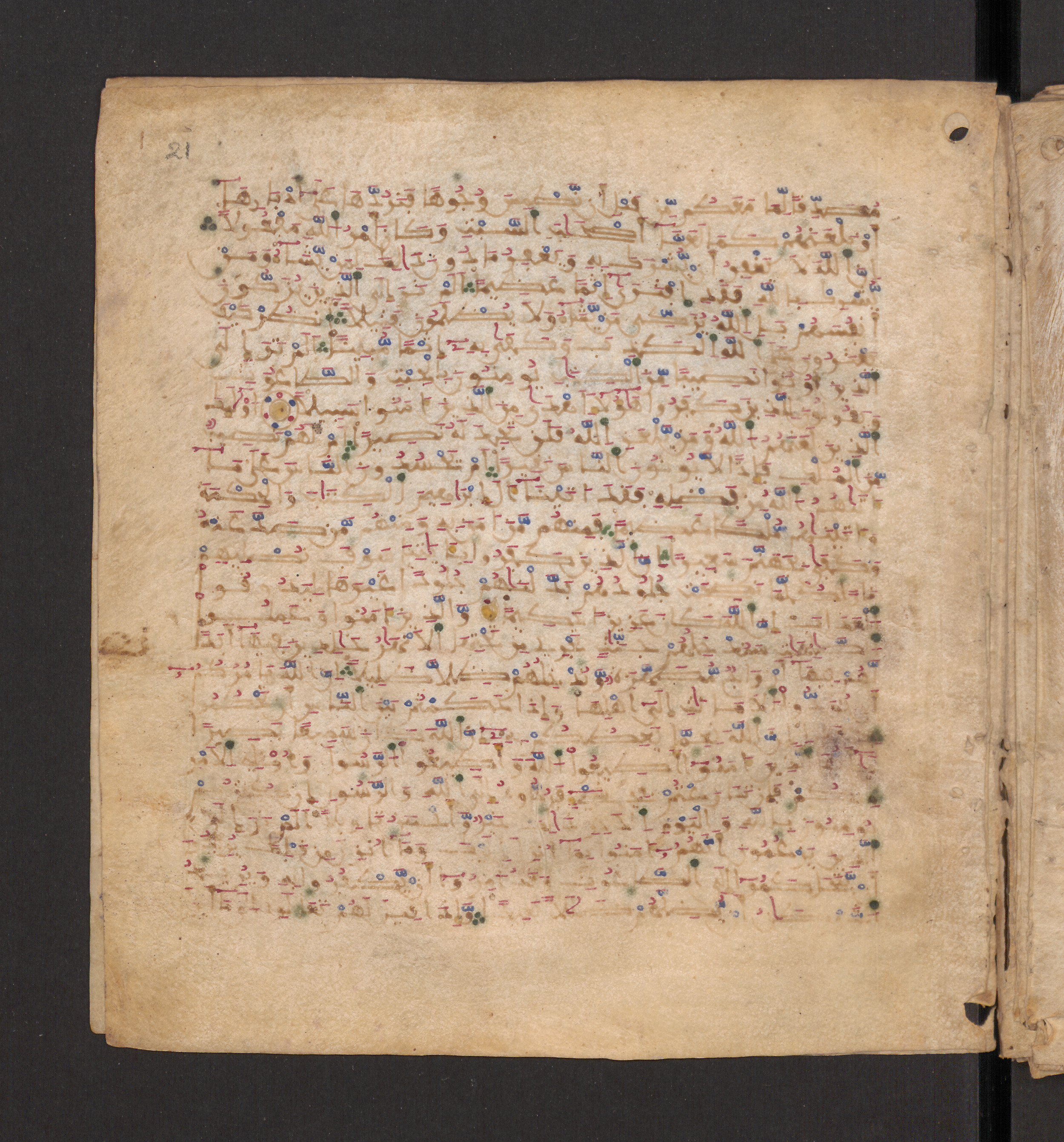Doha, Qatar National Library, HC.MS.00715, in Maġribī micrography script, showing Surah 4:49 from 11th to 12th Century AD found in Muslim Iberia (al-Andalus), currently housed at Qatar National Library, Doha
