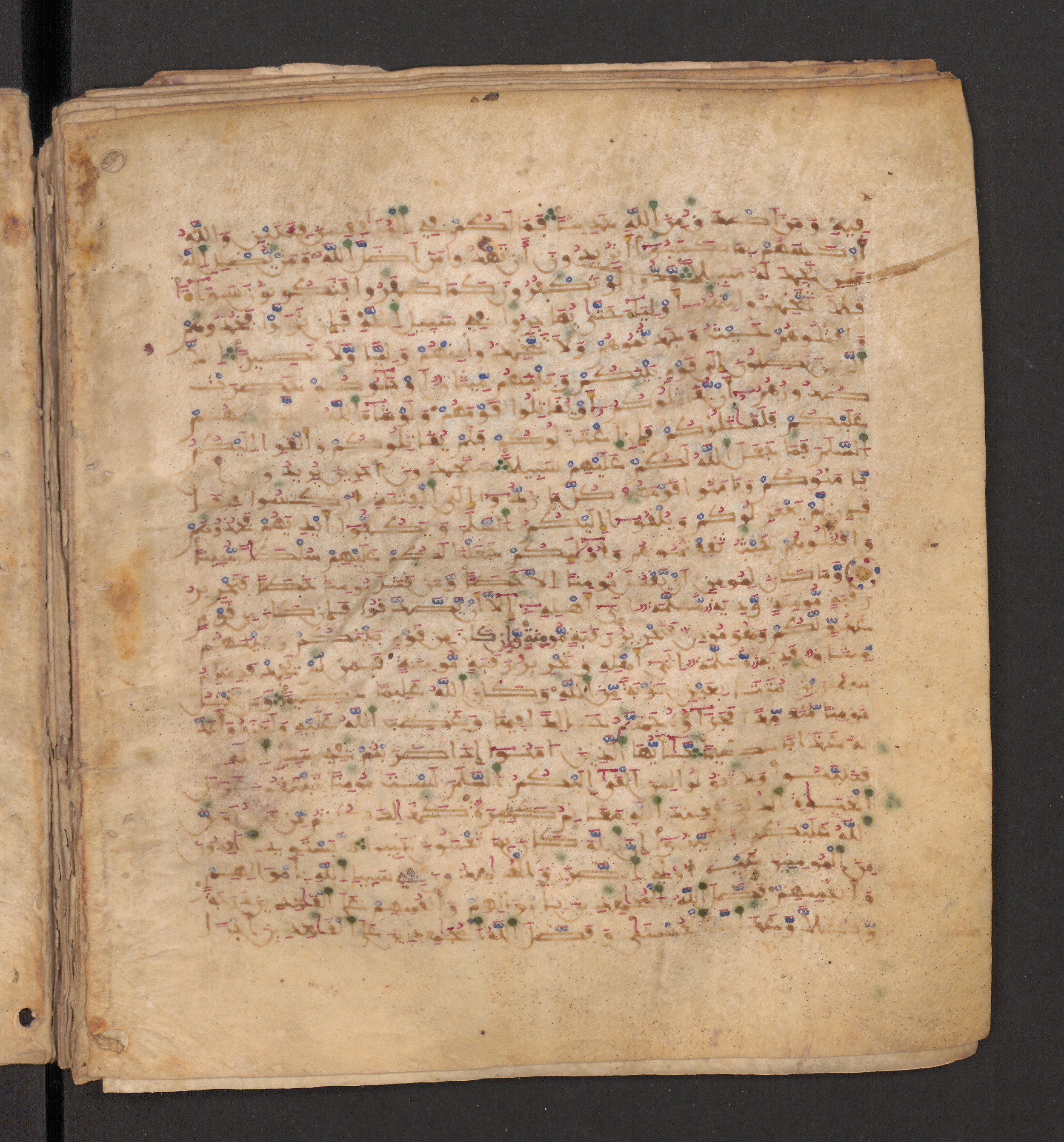 Doha, Qatar National Library, HC.MS.00715, in Maġribī micrography script, showing Surah 4:89 from 11th to 12th Century AD found in Muslim Iberia (al-Andalus), currently housed at Qatar National Library, Doha