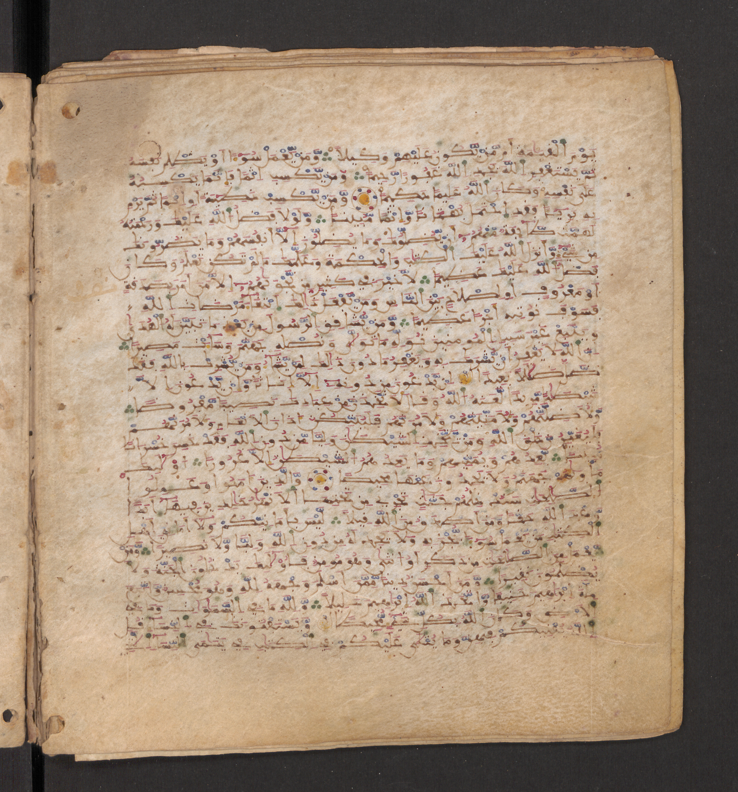 Doha, Qatar National Library, HC.MS.00715, in Maġribī micrography script, showing Surah 4:116 from 11th to 12th Century AD found in Muslim Iberia (al-Andalus), currently housed at Qatar National Library, Doha