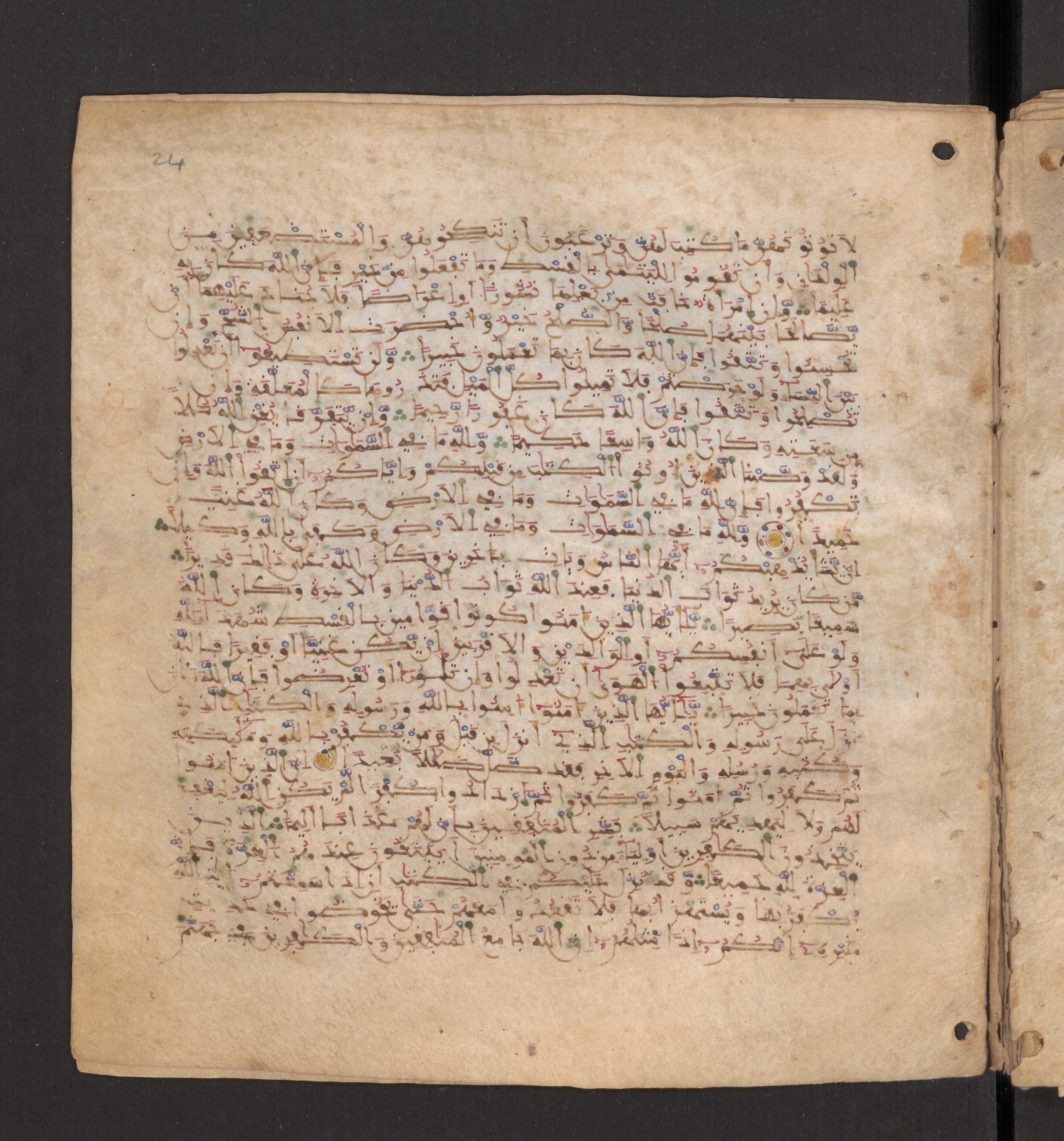 Doha, Qatar National Library, HC.MS.00715, in Maġribī micrography script, showing Surah 4:136 from 11th to 12th Century AD found in Muslim Iberia (al-Andalus), currently housed at Qatar National Library, Doha