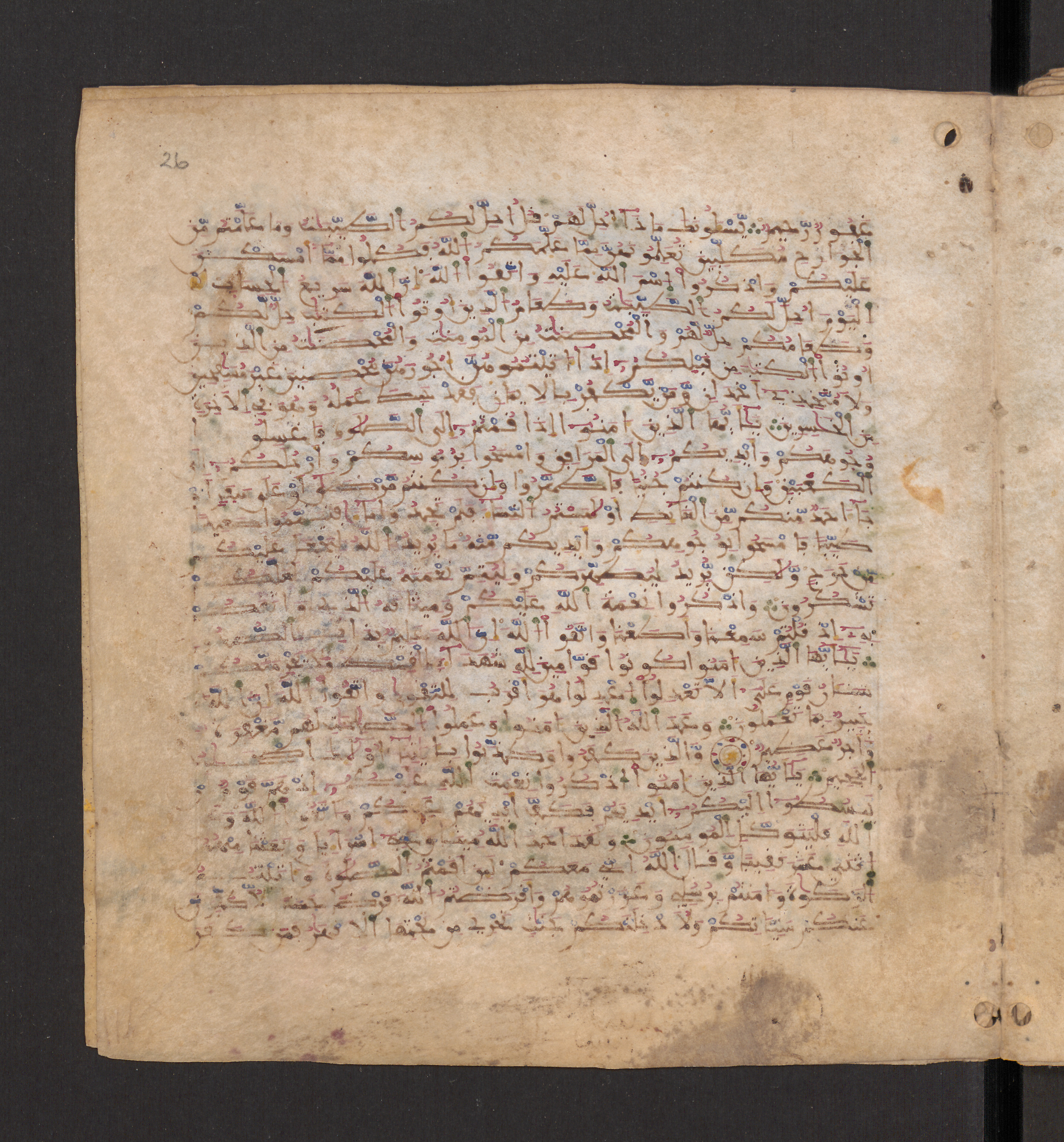 Doha, Qatar National Library, HC.MS.00715, in Maġribī micrography script, showing Surah 5:7 from 11th to 12th Century AD found in Muslim Iberia (al-Andalus), currently housed at Qatar National Library, Doha
