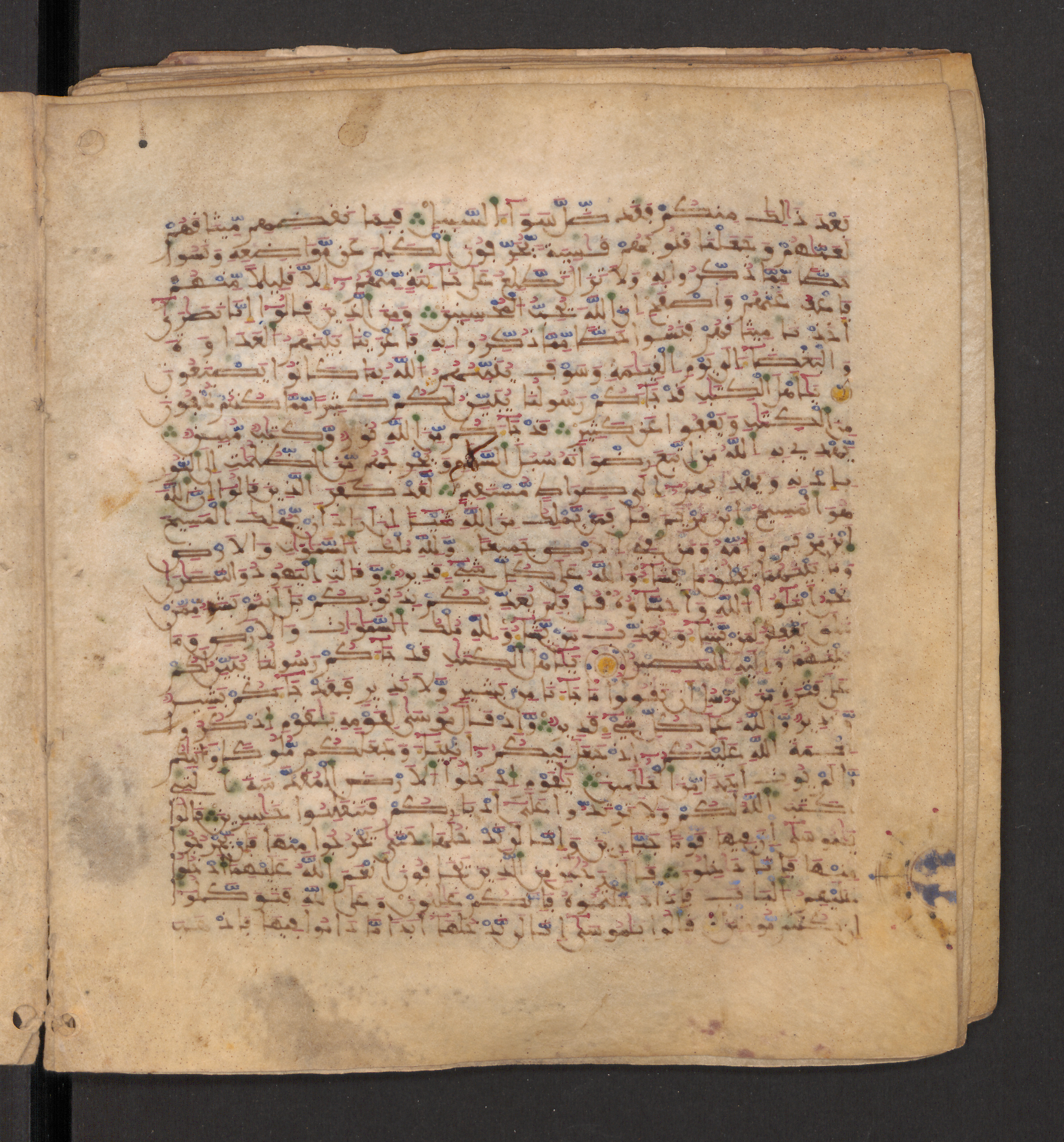 Doha, Qatar National Library, HC.MS.00715, in Maġribī micrography script, showing Surah 5:21 from 11th to 12th Century AD found in Muslim Iberia (al-Andalus), currently housed at Qatar National Library, Doha