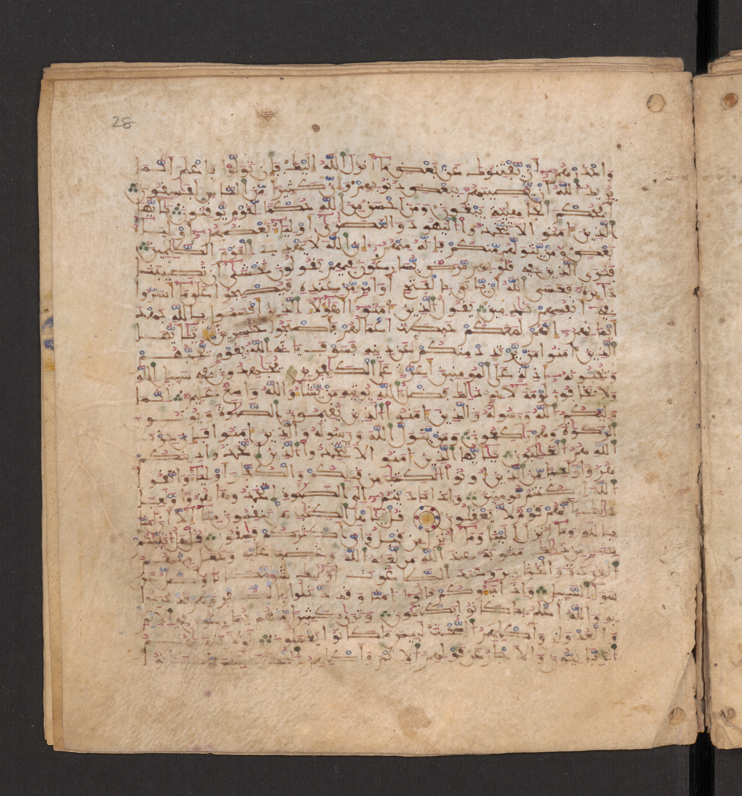 Doha, Qatar National Library, HC.MS.00715, in Maġribī micrography script, showing Surah 5:56 from 11th to 12th Century AD found in Muslim Iberia (al-Andalus), currently housed at Qatar National Library, Doha