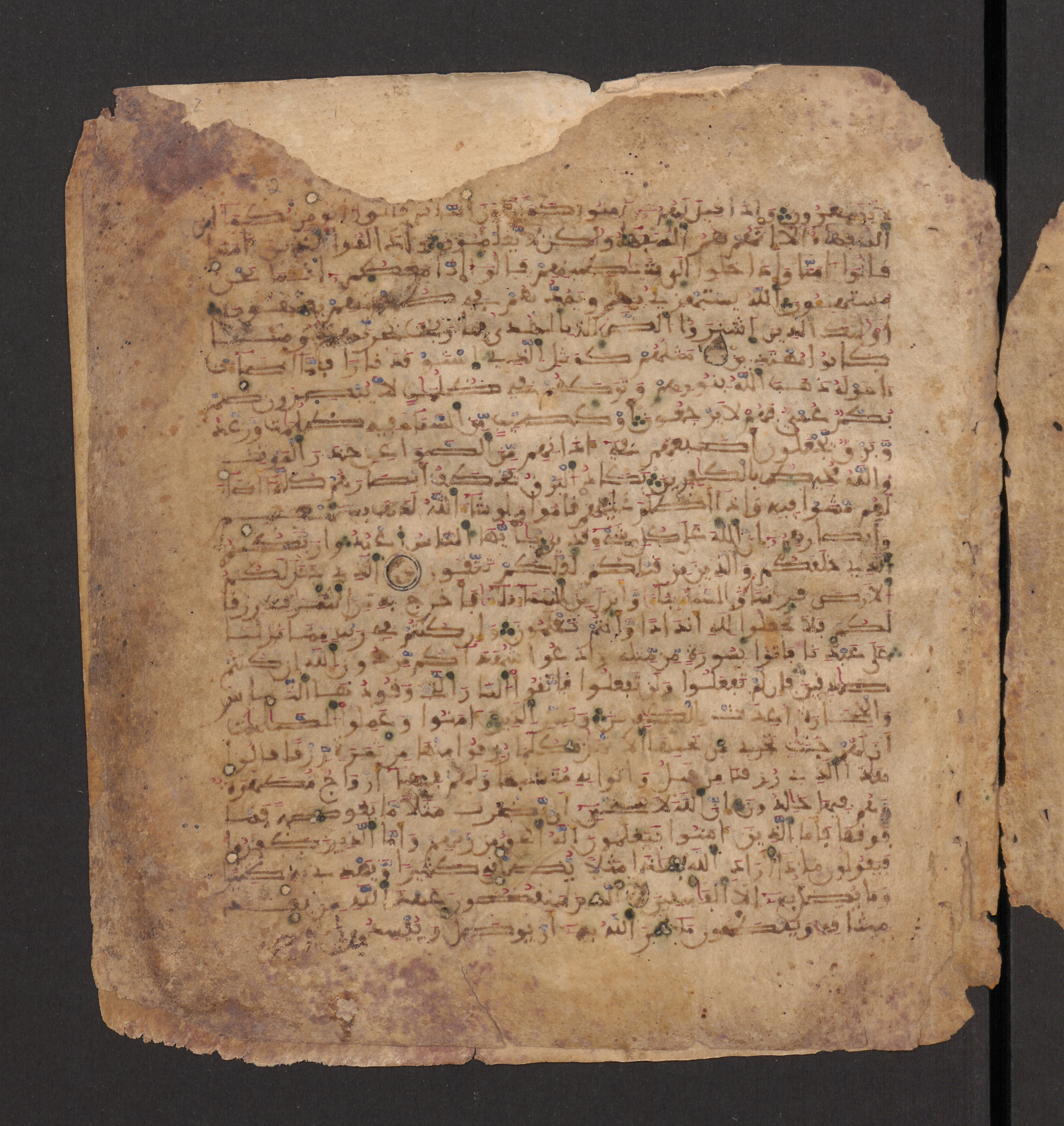 Doha, Qatar National Library, HC.MS.00715, in Maġribī micrography script, showing Surah 2:13 from 11th to 12th Century AD found in Muslim Iberia (al-Andalus), currently housed at Qatar National Library, Doha