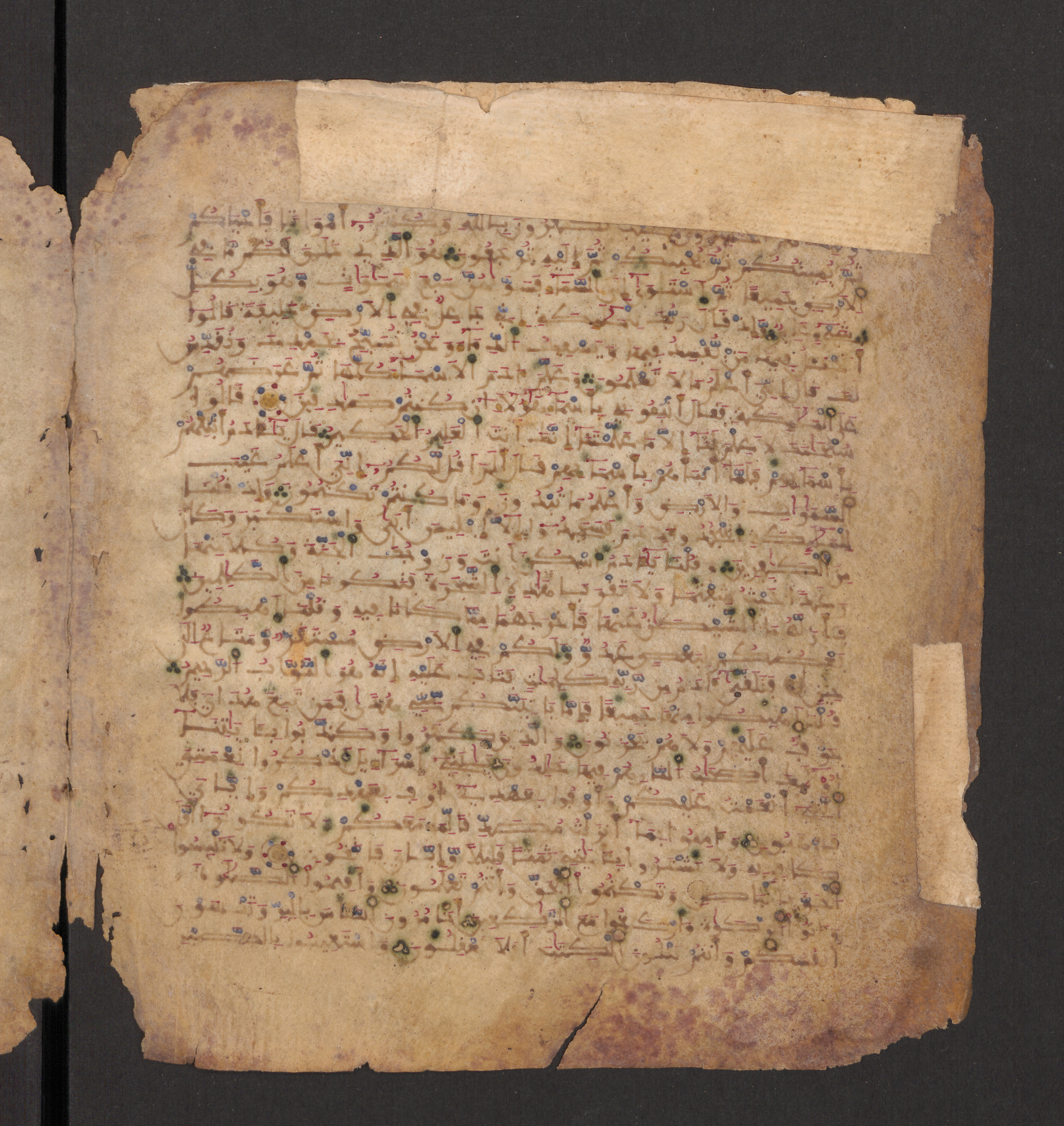 Doha, Qatar National Library, HC.MS.00715, in Maġribī micrography script, showing Surah 2:44 from 11th to 12th Century AD found in Muslim Iberia (al-Andalus), currently housed at Qatar National Library, Doha