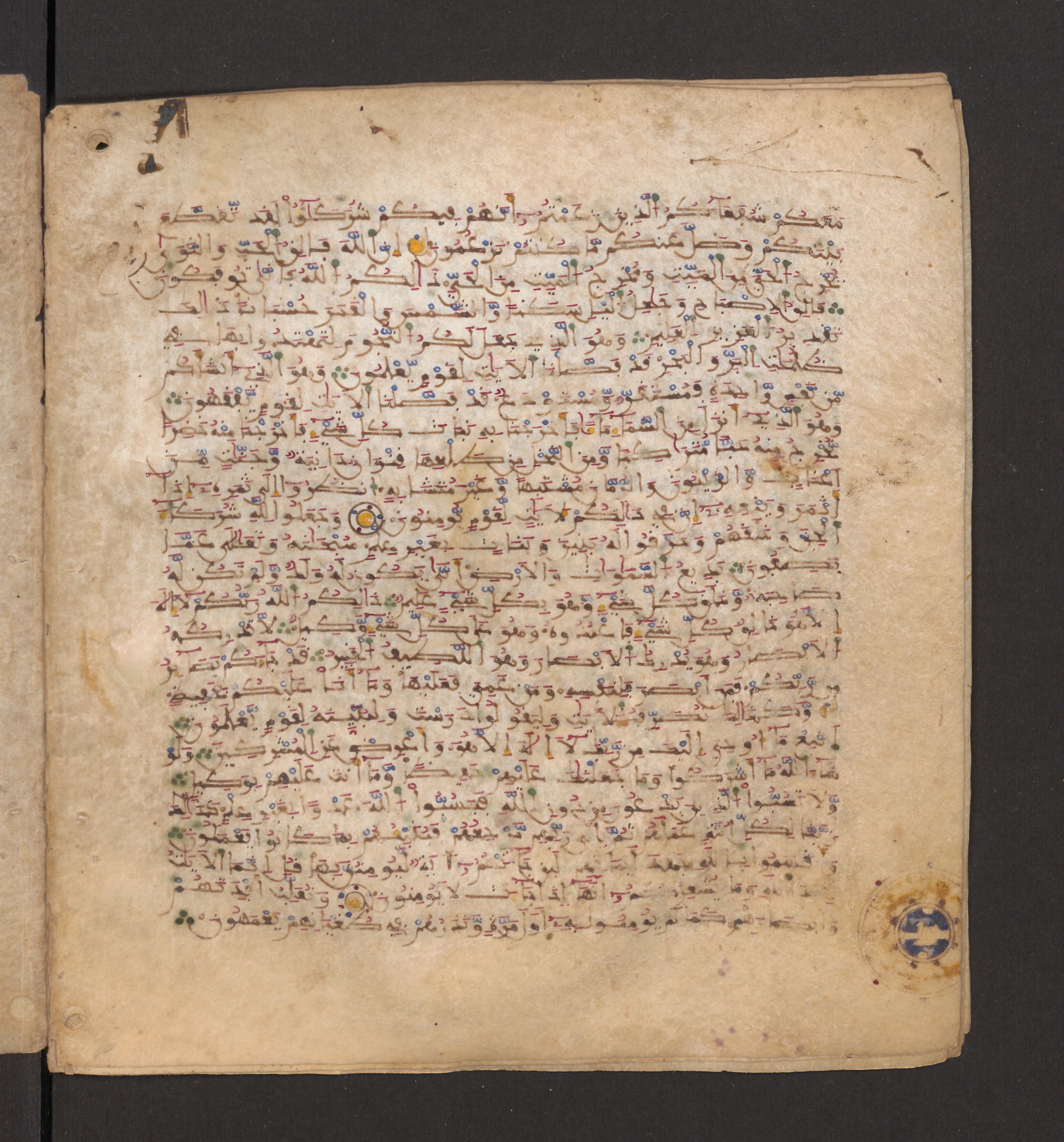 Doha, Qatar National Library, HC.MS.00715, in Maġribī micrography script, showing Surah 6:95 from 11th to 12th Century AD found in Muslim Iberia (al-Andalus), currently housed at Qatar National Library, Doha