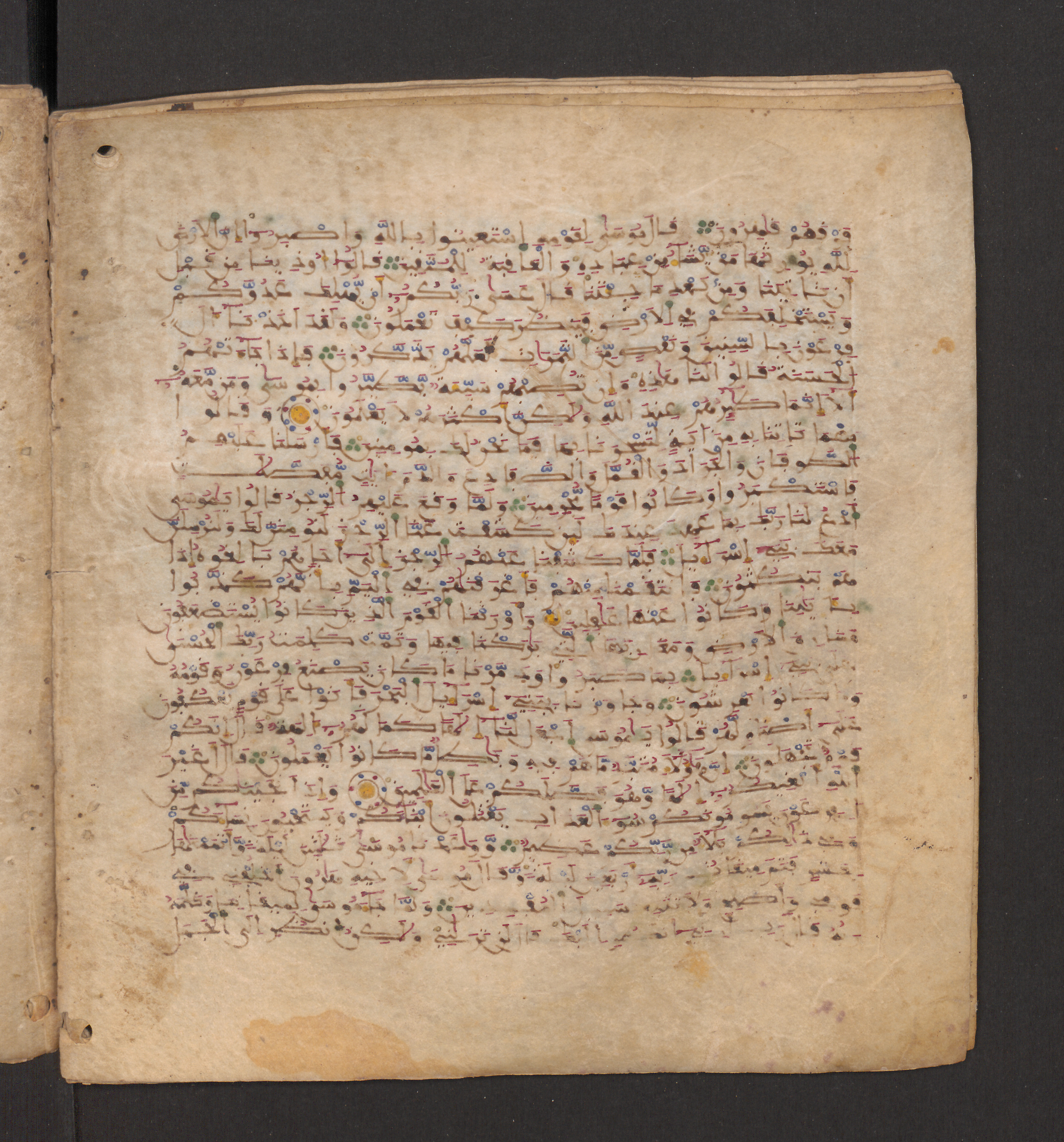 Doha, Qatar National Library, HC.MS.00715, in Maġribī micrography script, showing Surah 7:136 from 11th to 12th Century AD found in Muslim Iberia (al-Andalus), currently housed at Qatar National Library, Doha