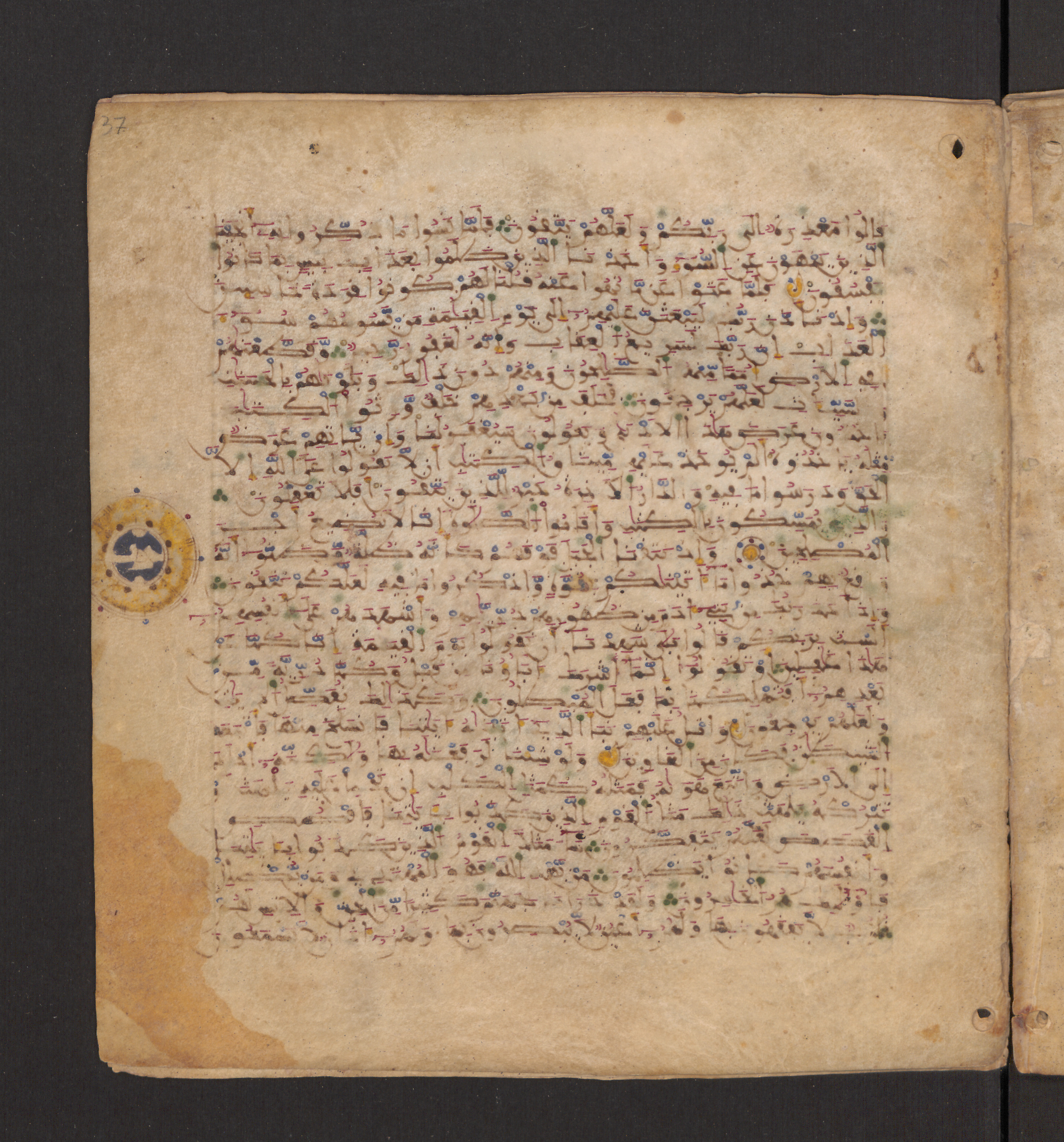 Doha, Qatar National Library, HC.MS.00715, in Maġribī micrography script, showing Surah 7:175 from 11th to 12th Century AD found in Muslim Iberia (al-Andalus), currently housed at Qatar National Library, Doha