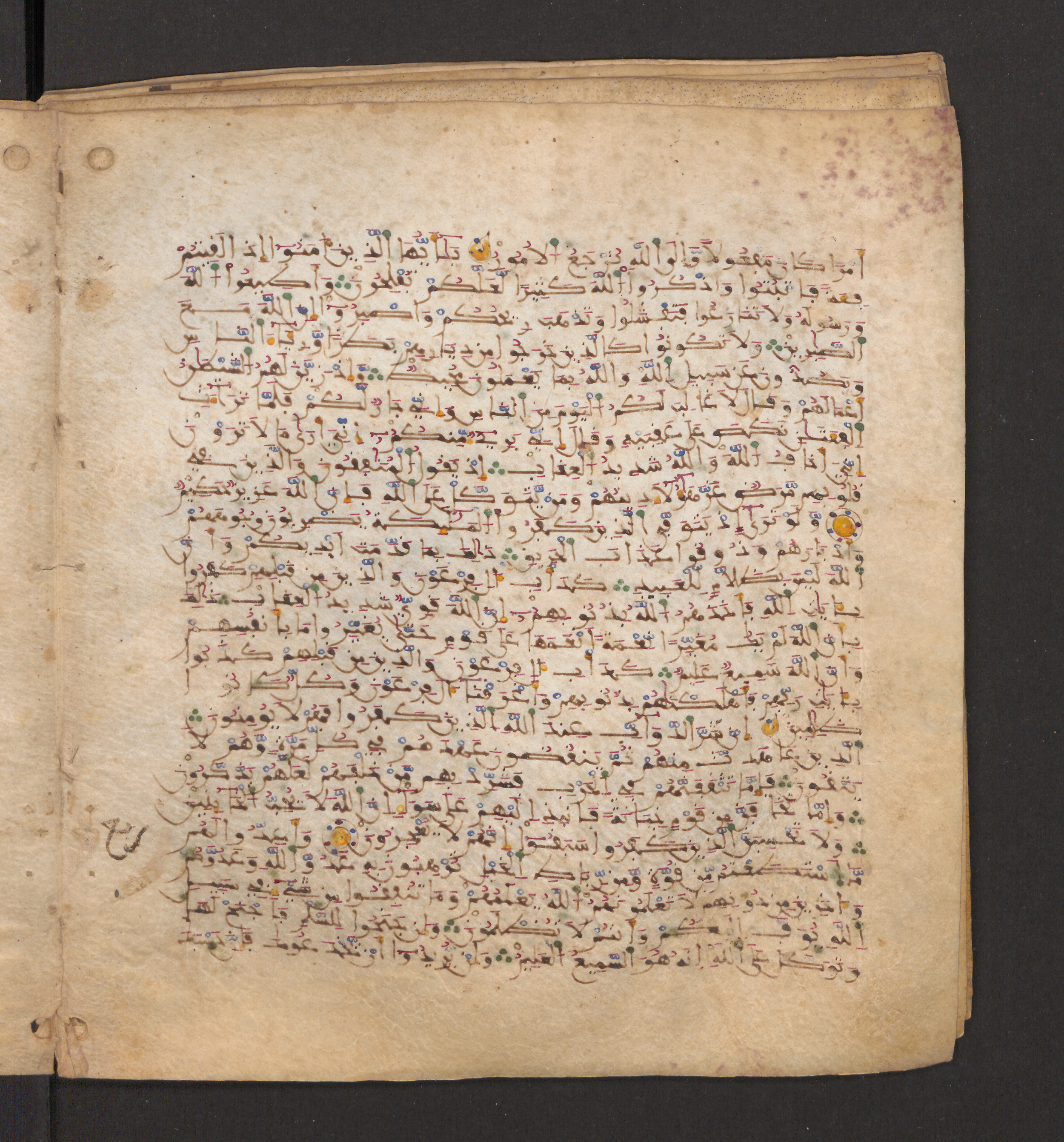 Doha, Qatar National Library, HC.MS.00715, in Maġribī micrography script, showing Surah 8:49 from 11th to 12th Century AD found in Muslim Iberia (al-Andalus), currently housed at Qatar National Library, Doha