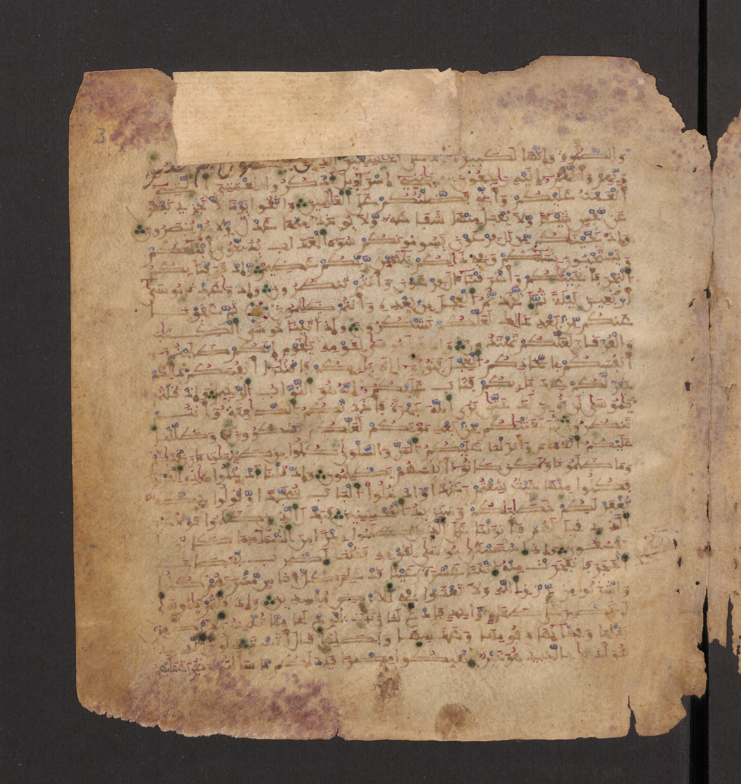 Doha, Qatar National Library, HC.MS.00715, in Maġribī micrography script, showing Surah 2:49 from 11th to 12th Century AD found in Muslim Iberia (al-Andalus), currently housed at Qatar National Library, Doha