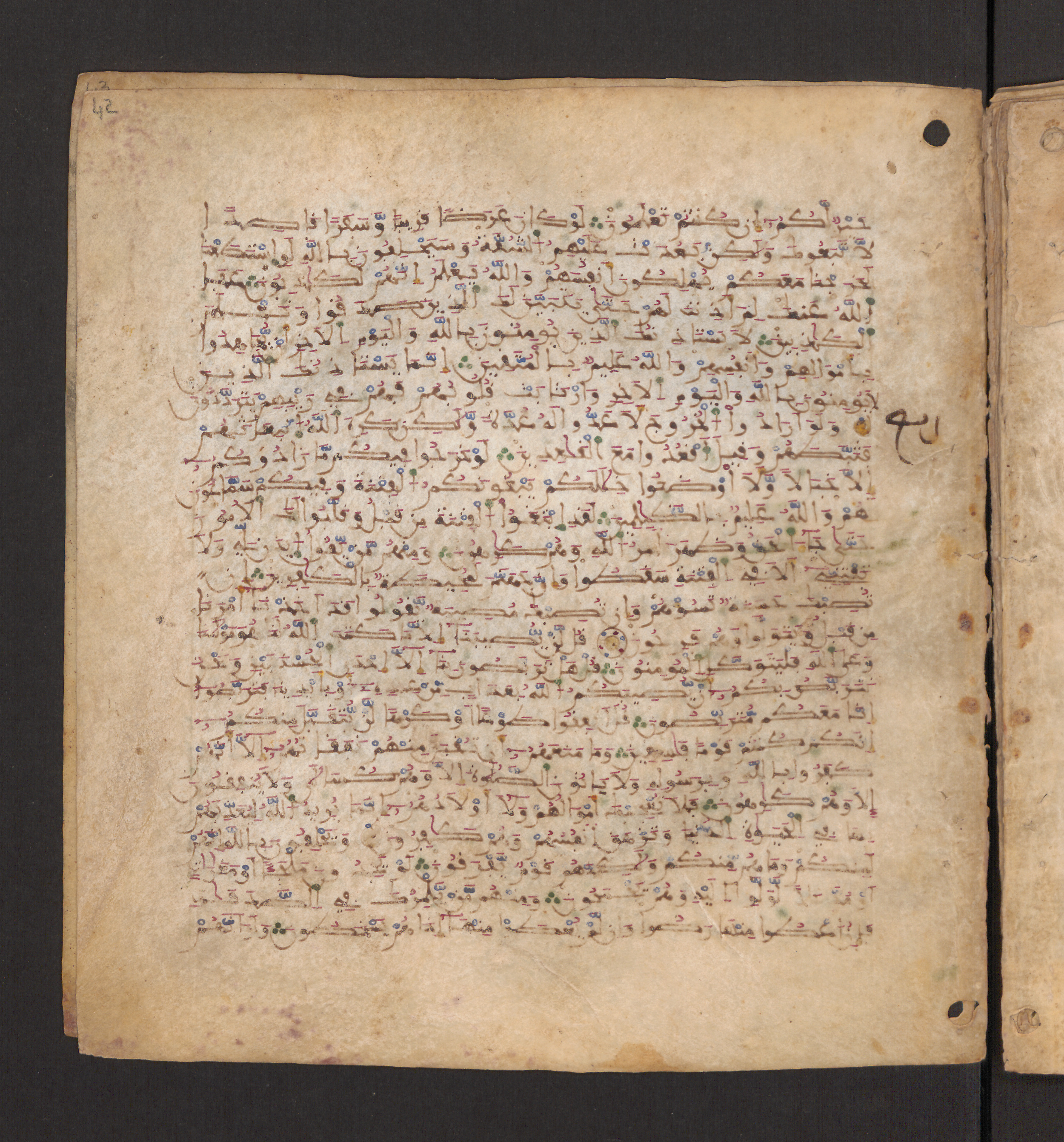 Doha, Qatar National Library, HC.MS.00715, in Maġribī micrography script, showing Surah 9:49 from 11th to 12th Century AD found in Muslim Iberia (al-Andalus), currently housed at Qatar National Library, Doha