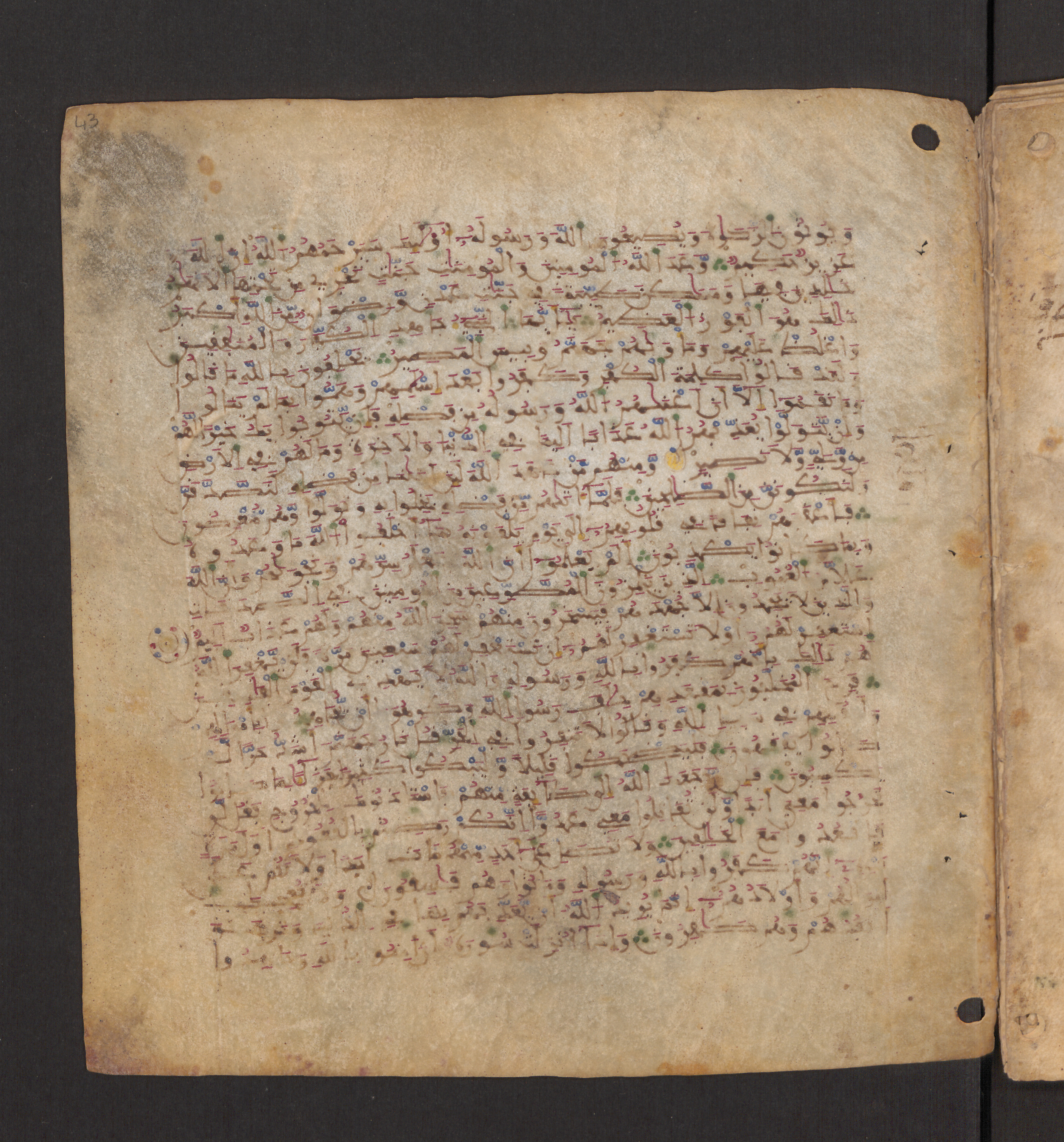 Doha, Qatar National Library, HC.MS.00715 (Scan 2), in Maġribī micrography script, showing Surah 9:71 from 11th to 12th Century AD found in Muslim Iberia (al-Andalus), currently housed at Qatar National Library, Doha