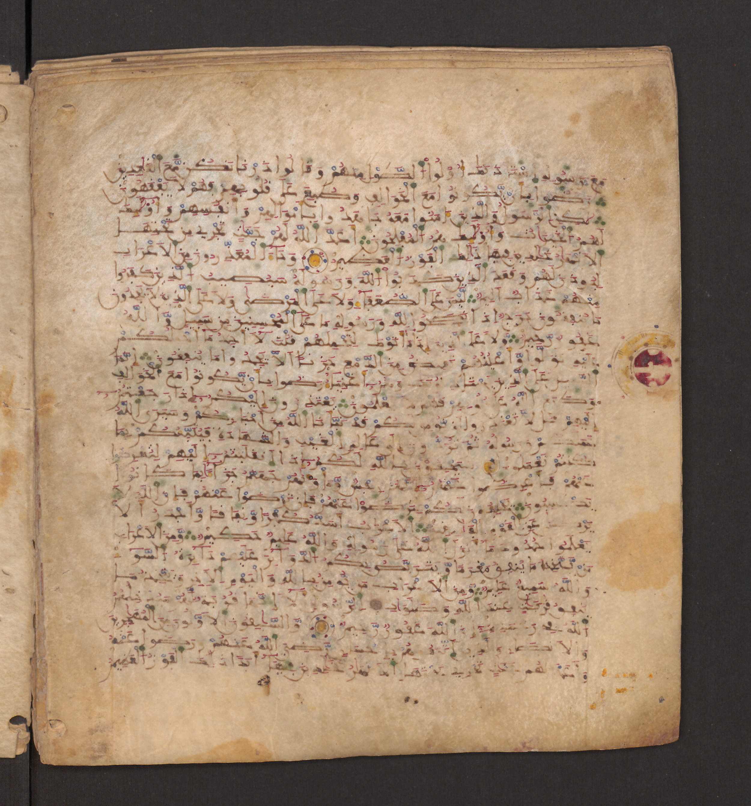 Doha, Qatar National Library, HC.MS.00715, in Maġribī micrography script, showing Surah 9:97 from 11th to 12th Century AD found in Muslim Iberia (al-Andalus), currently housed at Qatar National Library, Doha