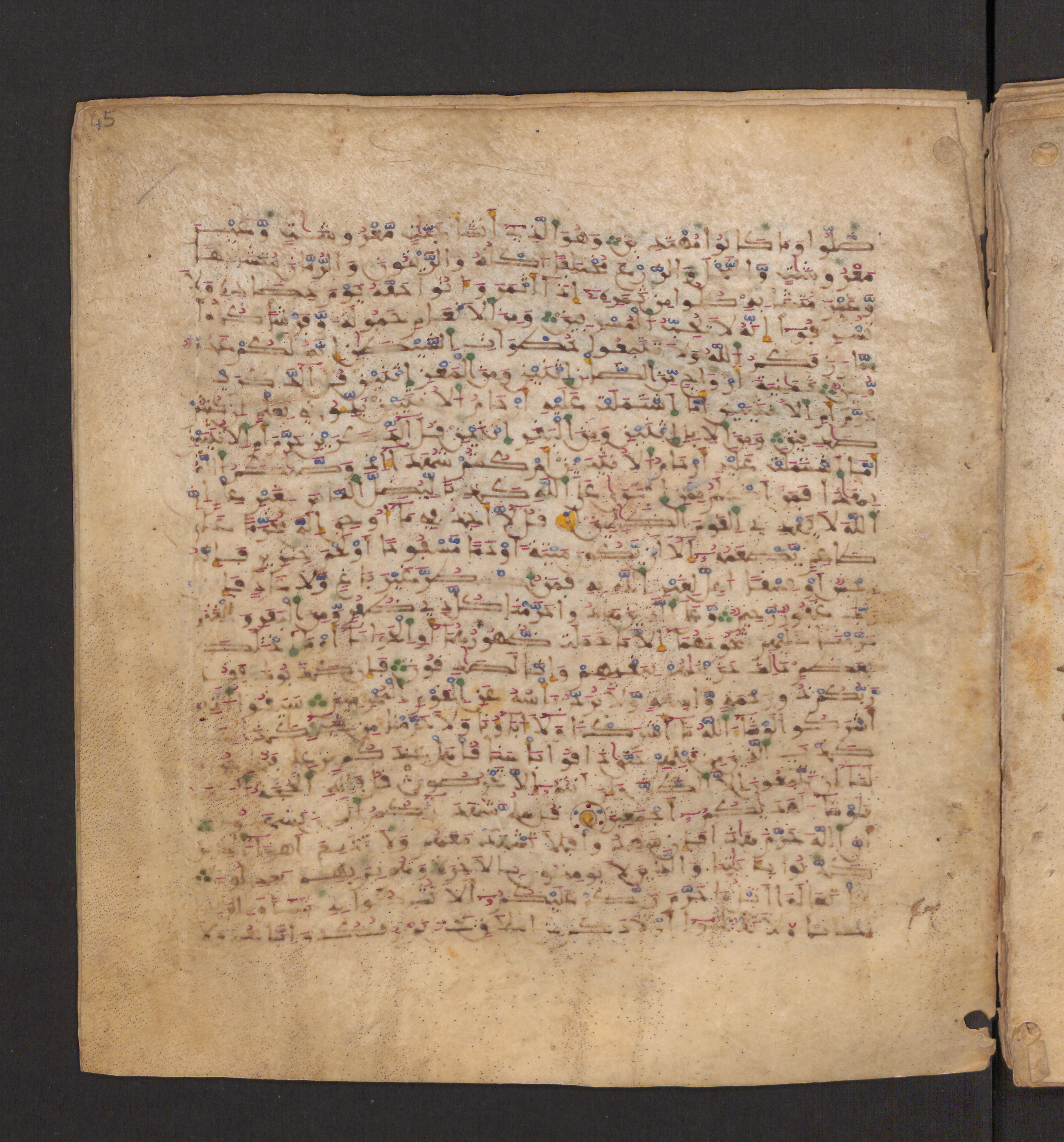 Doha, Qatar National Library, HC.MS.00715, in Maġribī micrography script, showing Surah 6:147 from 11th to 12th Century AD found in Muslim Iberia (al-Andalus), currently housed at Qatar National Library, Doha