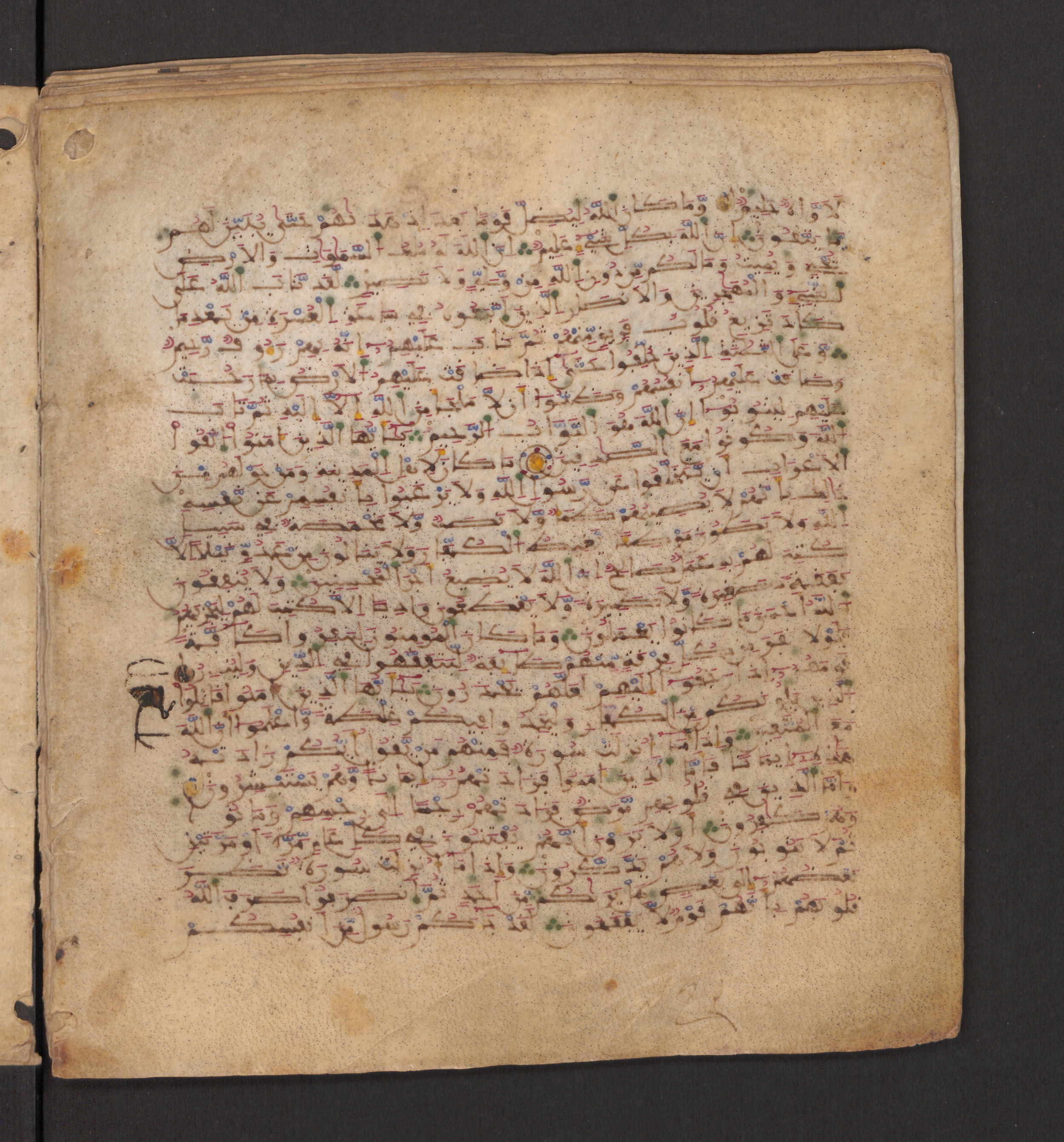 Doha, Qatar National Library, HC.MS.00715, in Maġribī micrography script, showing Surah 9:116 from 11th to 12th Century AD found in Muslim Iberia (al-Andalus), currently housed at Qatar National Library, Doha