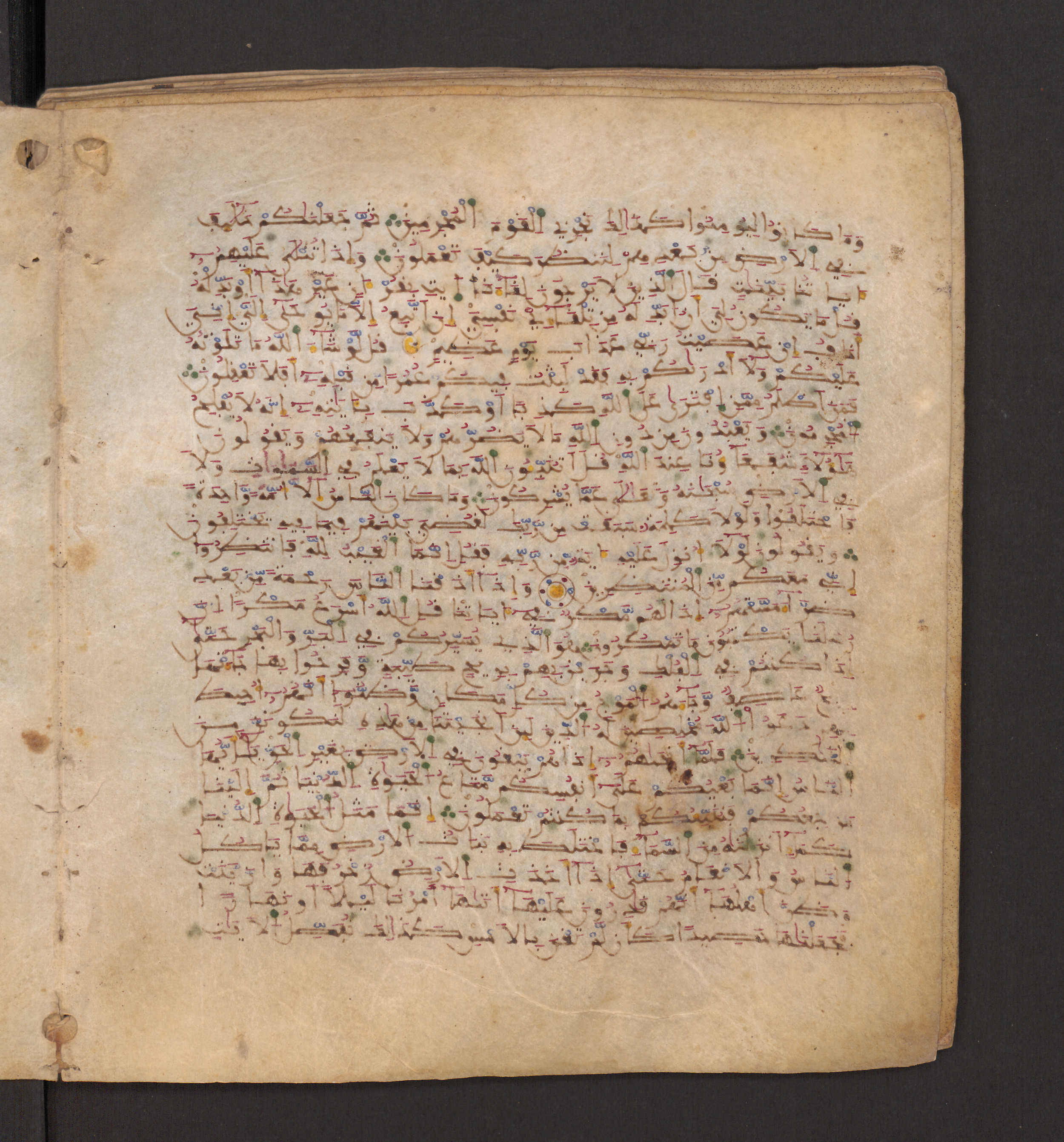 Doha, Qatar National Library, HC.MS.00715, in Maġribī micrography script, showing Surah 10:21 from 11th to 12th Century AD found in Muslim Iberia (al-Andalus), currently housed at Qatar National Library, Doha