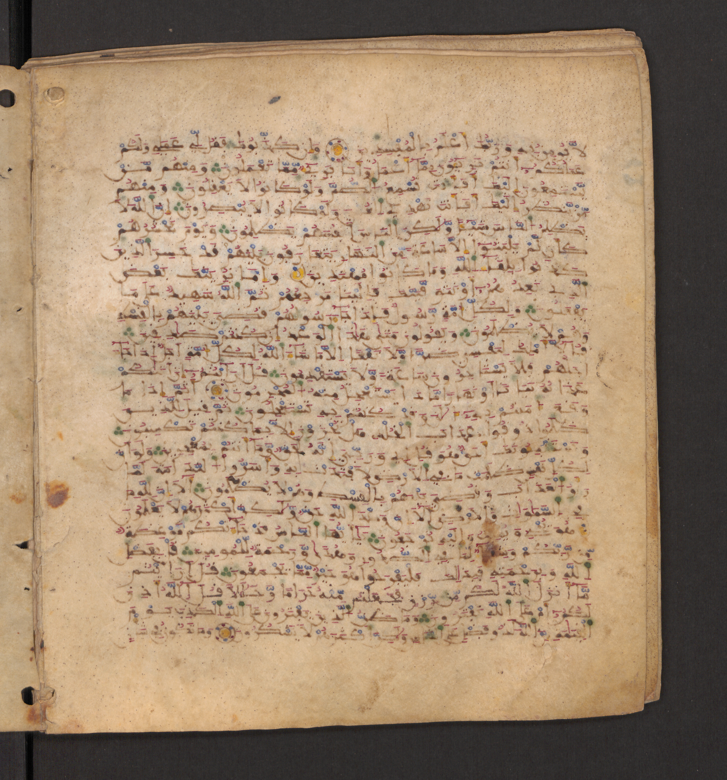 Doha, Qatar National Library, HC.MS.00715, in Maġribī micrography script, showing Surah 10:49 from 11th to 12th Century AD found in Muslim Iberia (al-Andalus), currently housed at Qatar National Library, Doha