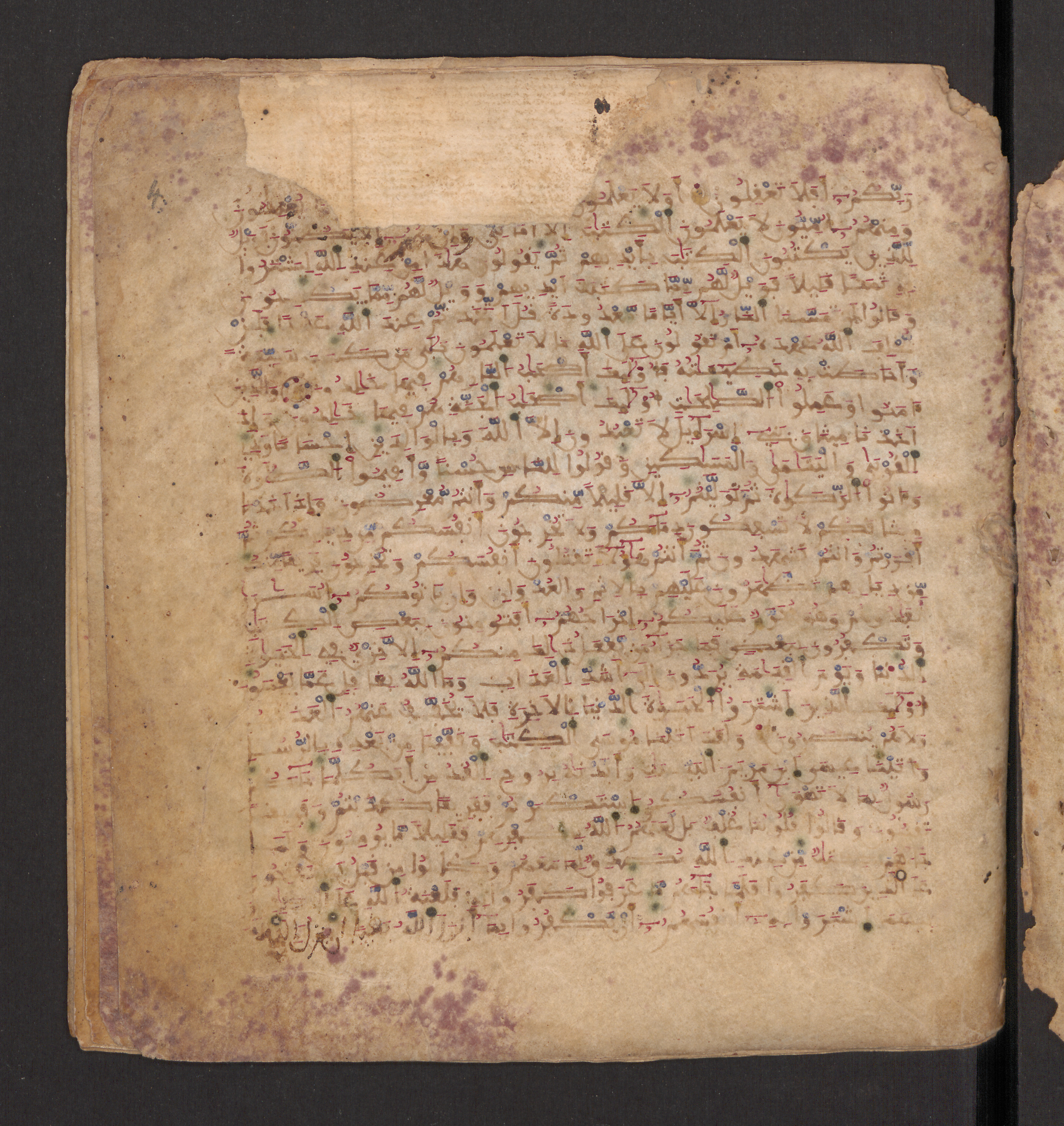 Doha, Qatar National Library, HC.MS.00715, in Maġribī micrography script, showing Surah 2:83 from 11th to 12th Century AD found in Muslim Iberia (al-Andalus), currently housed at Qatar National Library, Doha