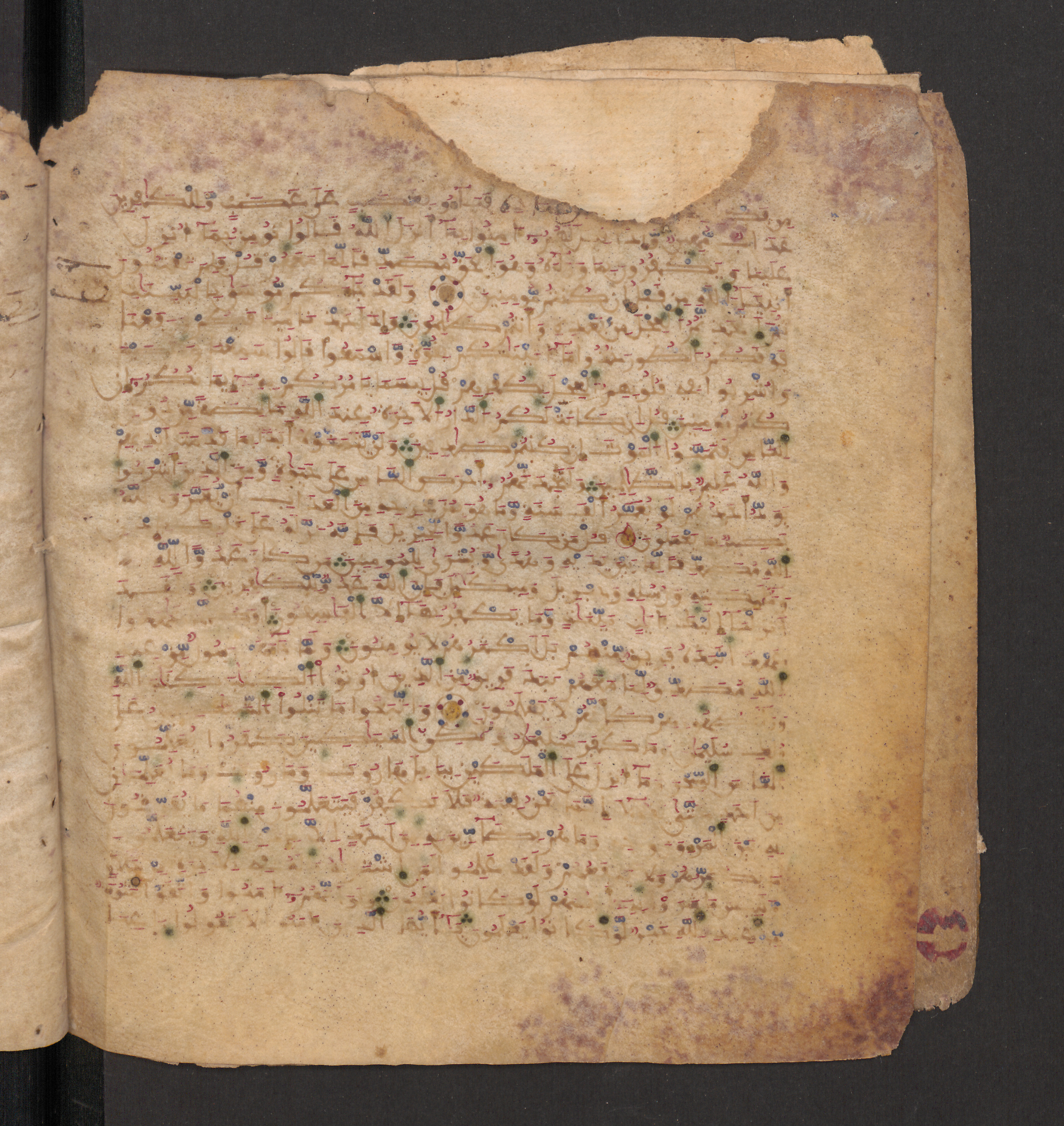 Doha, Qatar National Library, HC.MS.00715, in Maġribī micrography script, showing Surah 2:91 from 11th to 12th Century AD found in Muslim Iberia (al-Andalus), currently housed at Qatar National Library, Doha