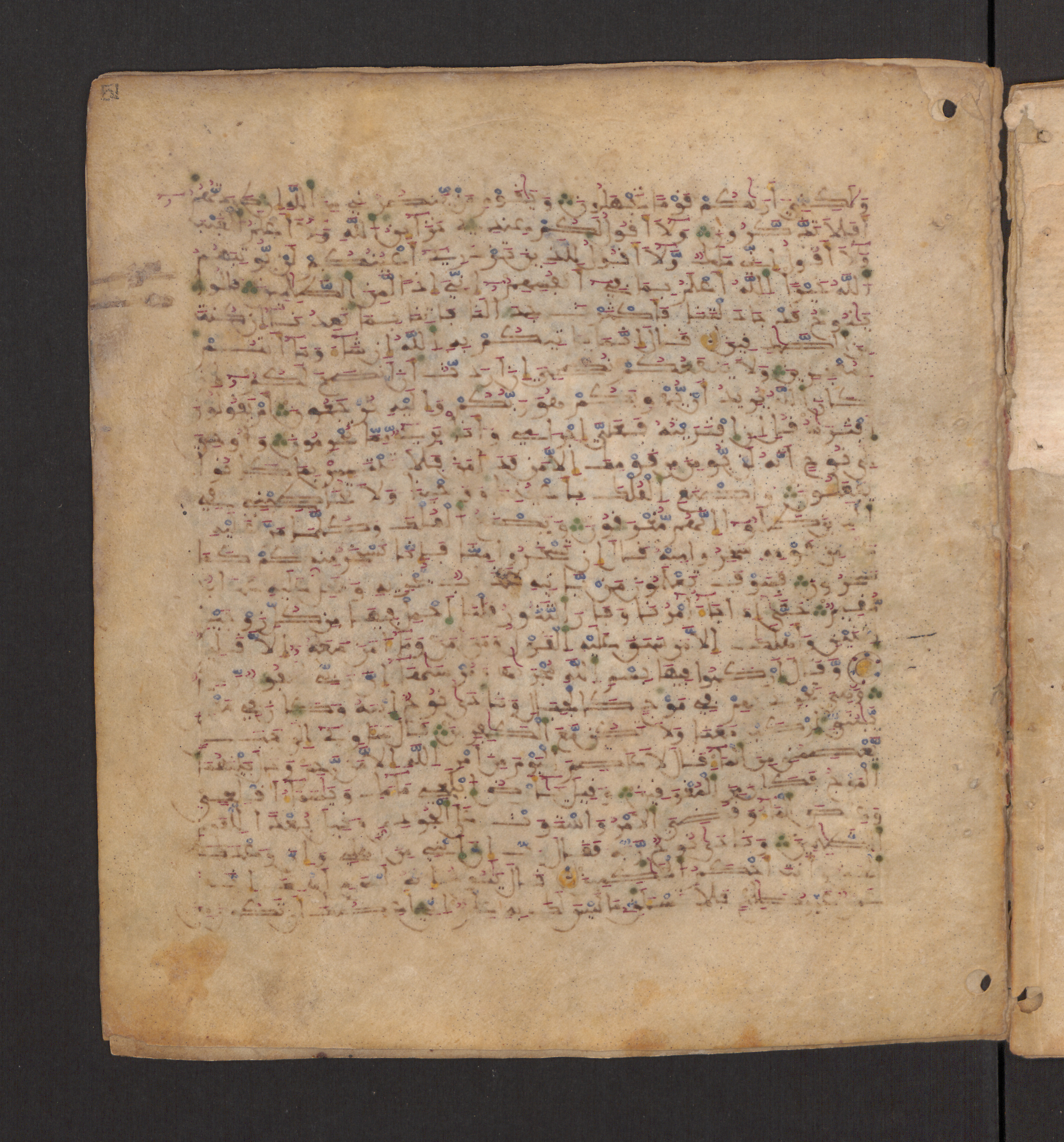 Doha, Qatar National Library, HC.MS.00715, in Maġribī micrography script, showing Surah 11:39 from 11th to 12th Century AD found in Muslim Iberia (al-Andalus), currently housed at Qatar National Library, Doha